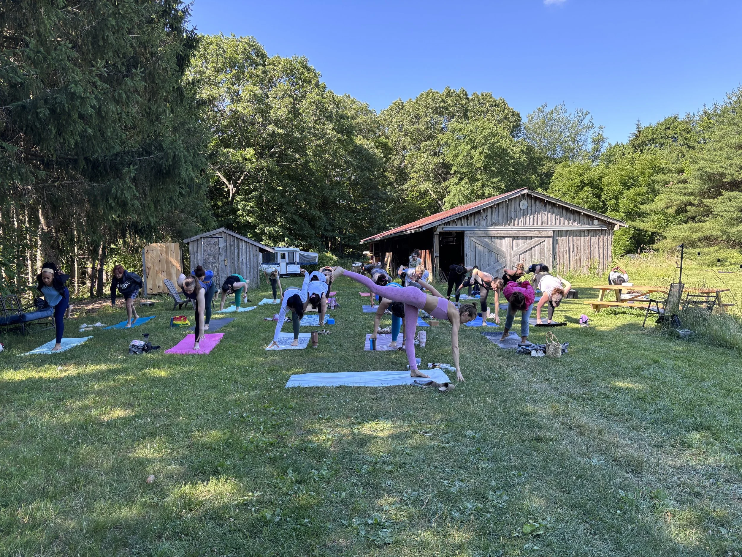 yoga at the farm