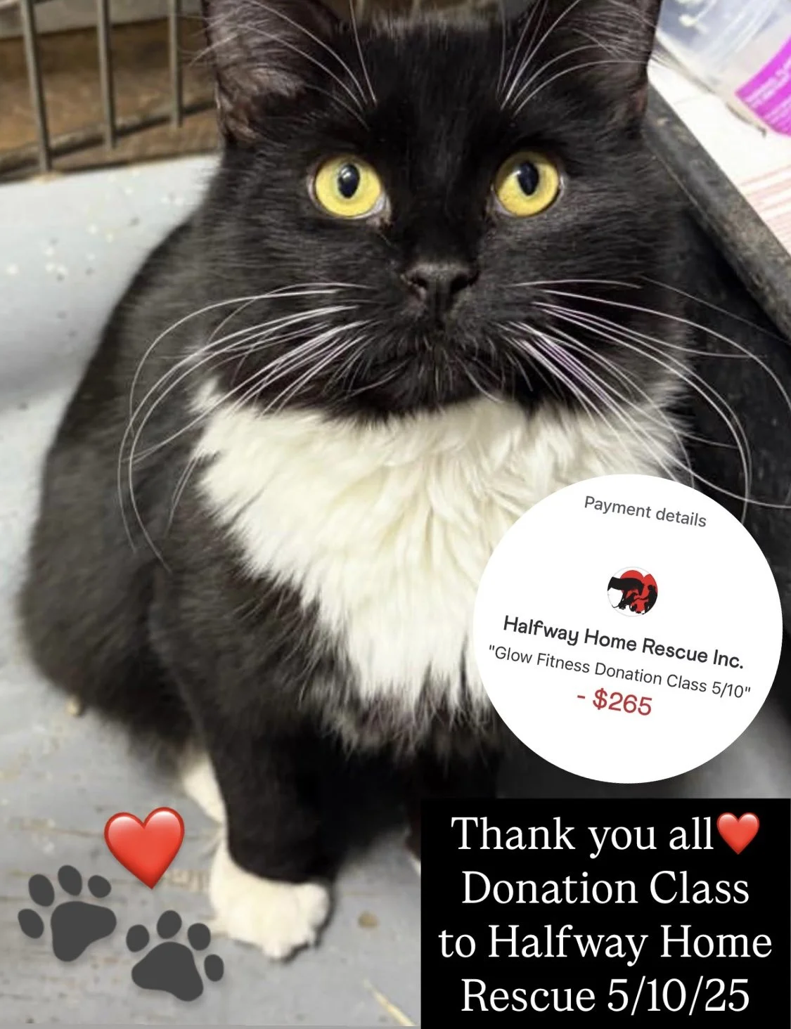 spring donation class.jpg