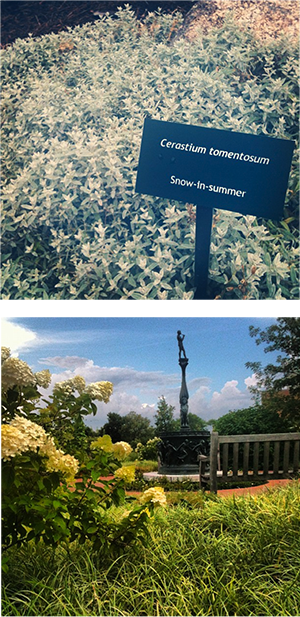 garden-landscaping.png