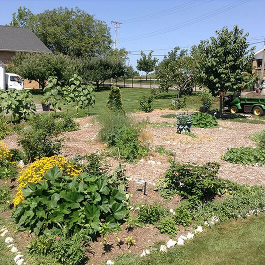 orchardgarden.jpg