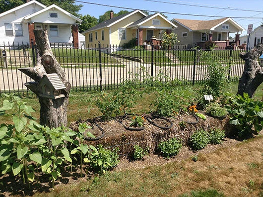 orchardgarden1.jpg