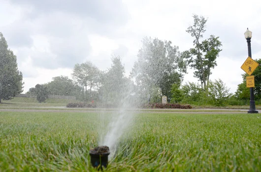 sprinkler.jpg
