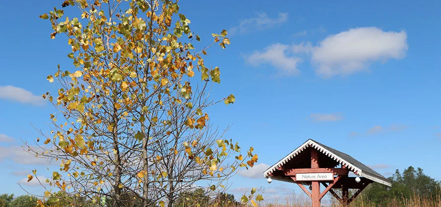 Our beautiful Nature Area and the fall trees inside.