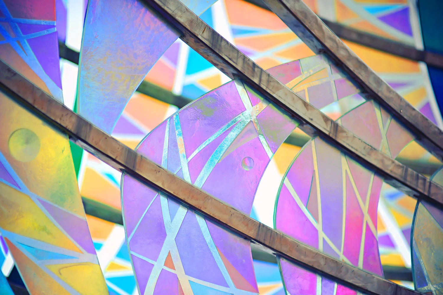 Gallery Exhibits —