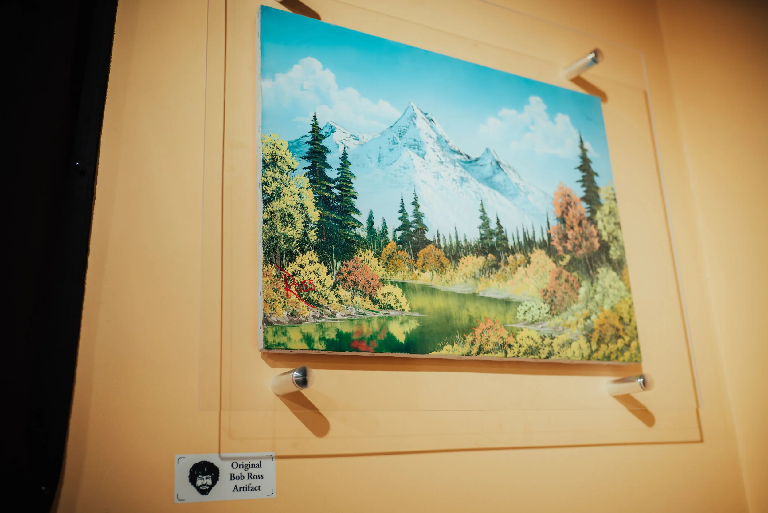 Bob Ross Experience —