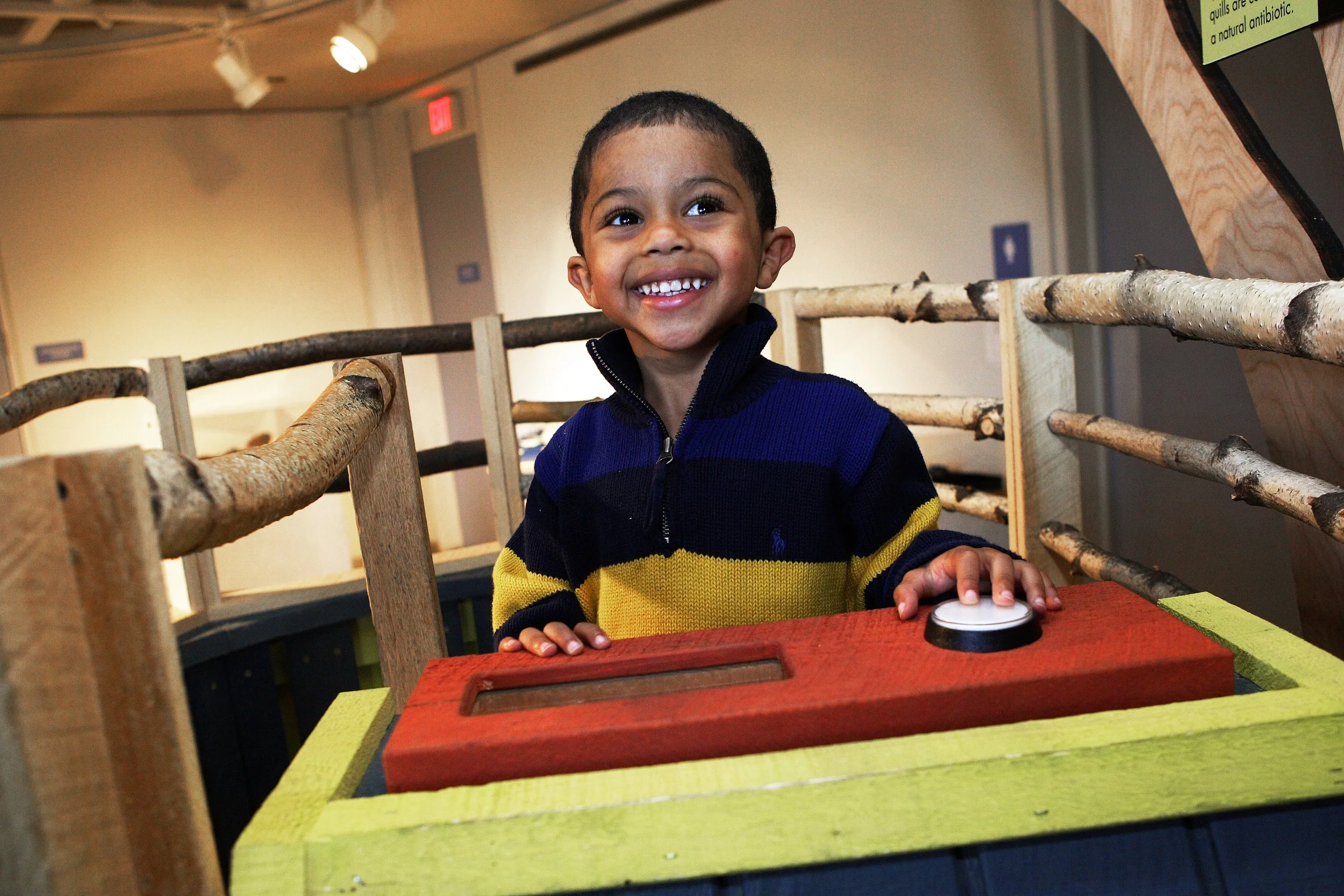 TreeHouses - Look Who’s Living in the Trees