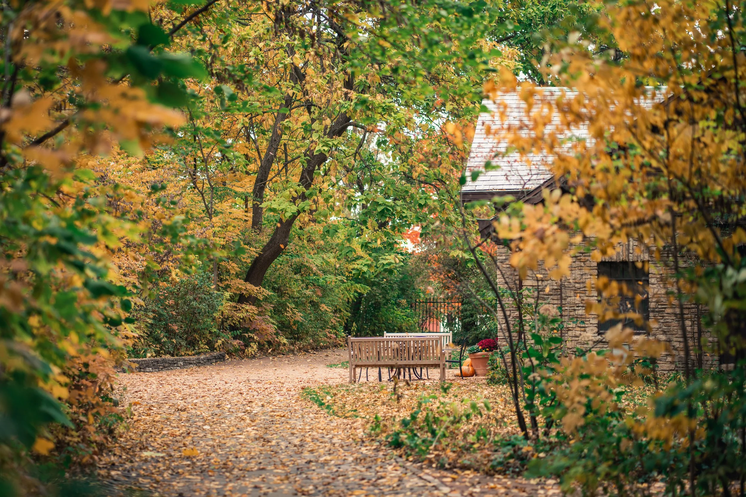 FamilyFunDay Small  (21).jpg