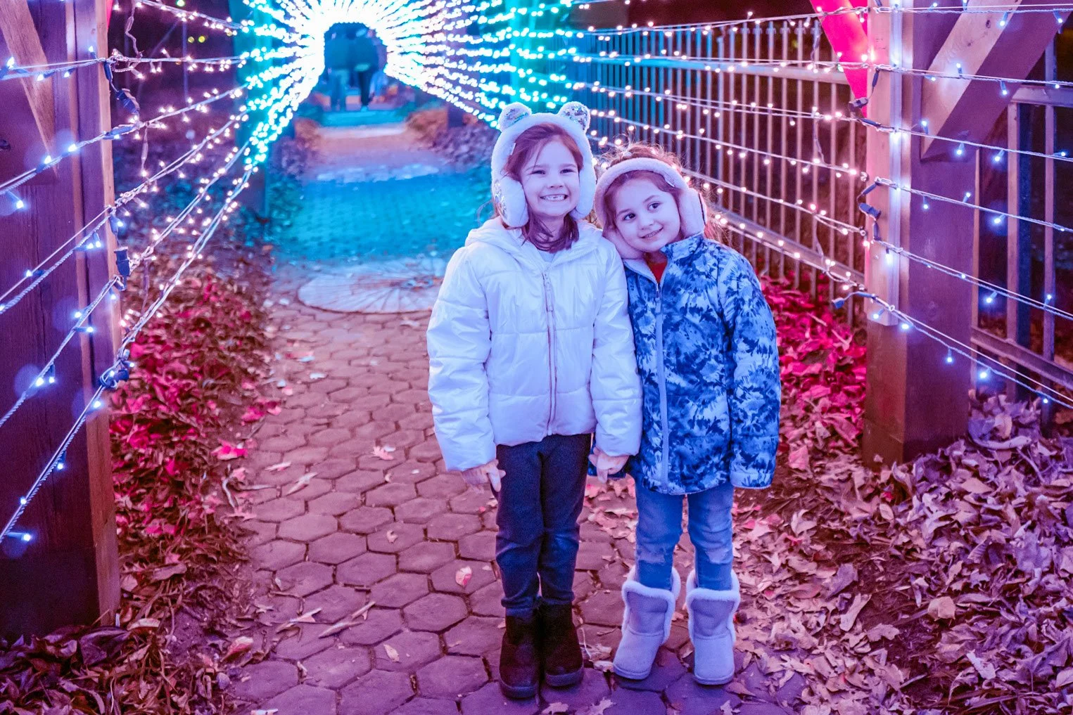 Enchanted Luminaria Walk Lights Up Minnetrista’s Campus This Holiday Season
