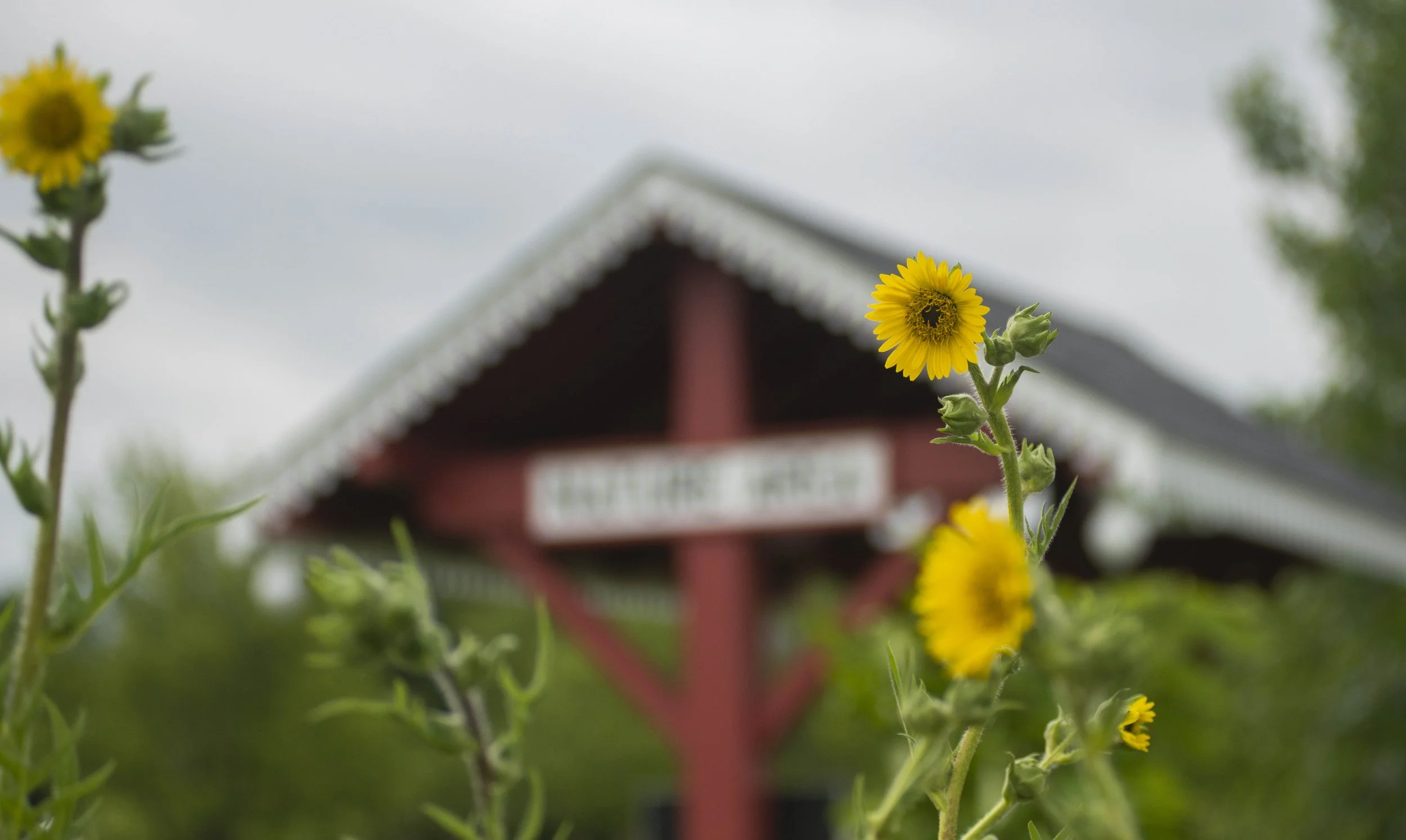 Horticulture Helpers: Bug Hotel Refresh