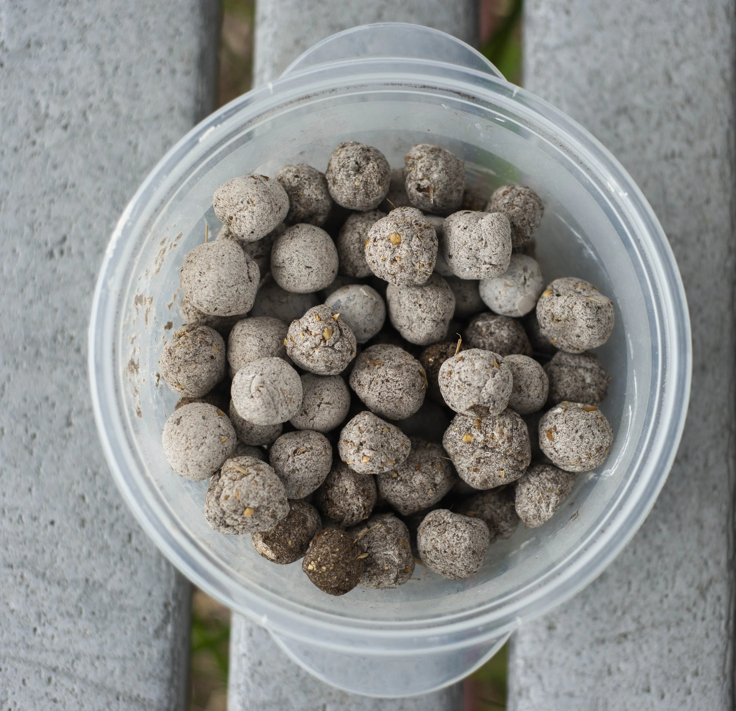 Monarch Habitat Builder: Milkweed Take &amp; Grow