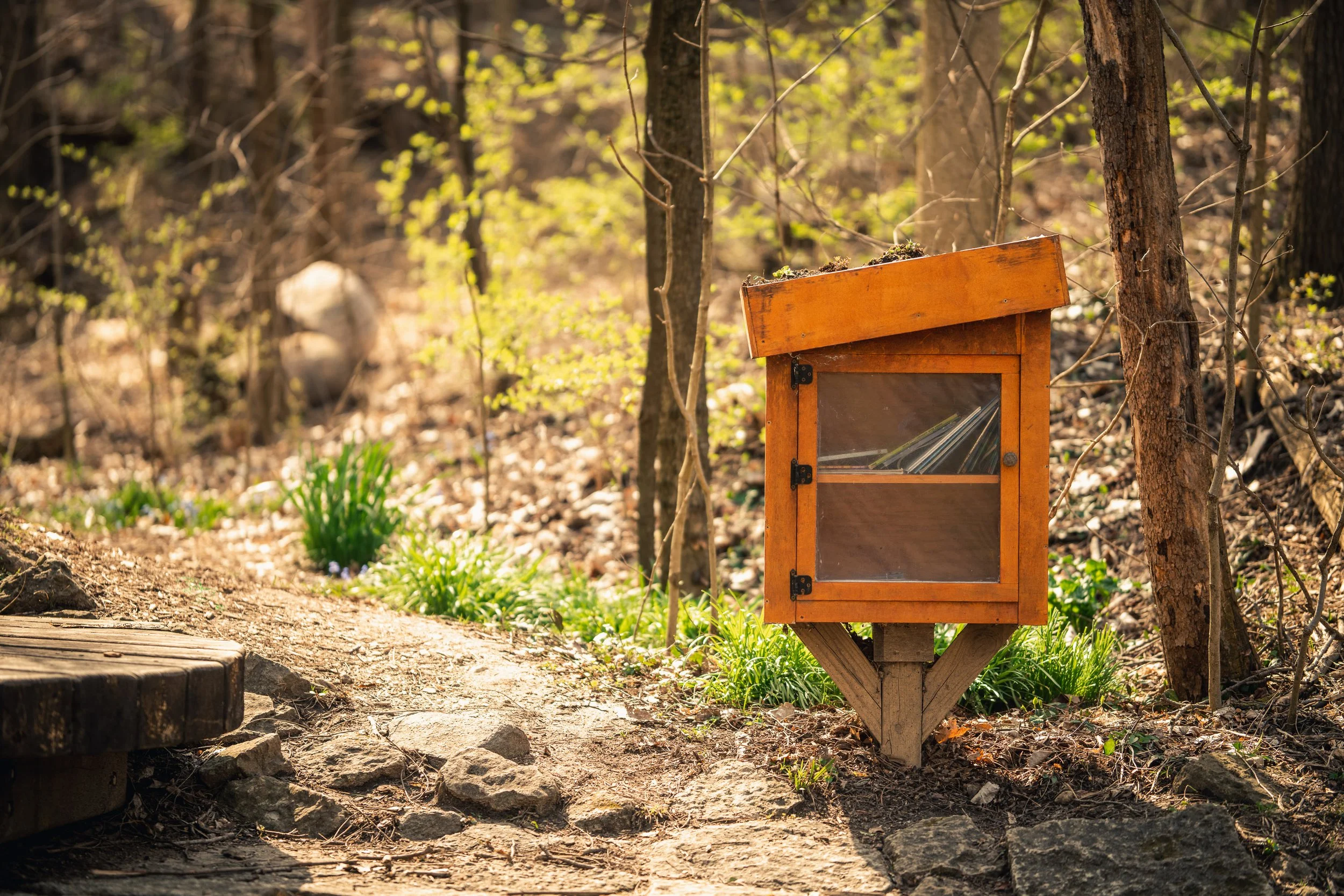 Pre-K Scavenger Hunt