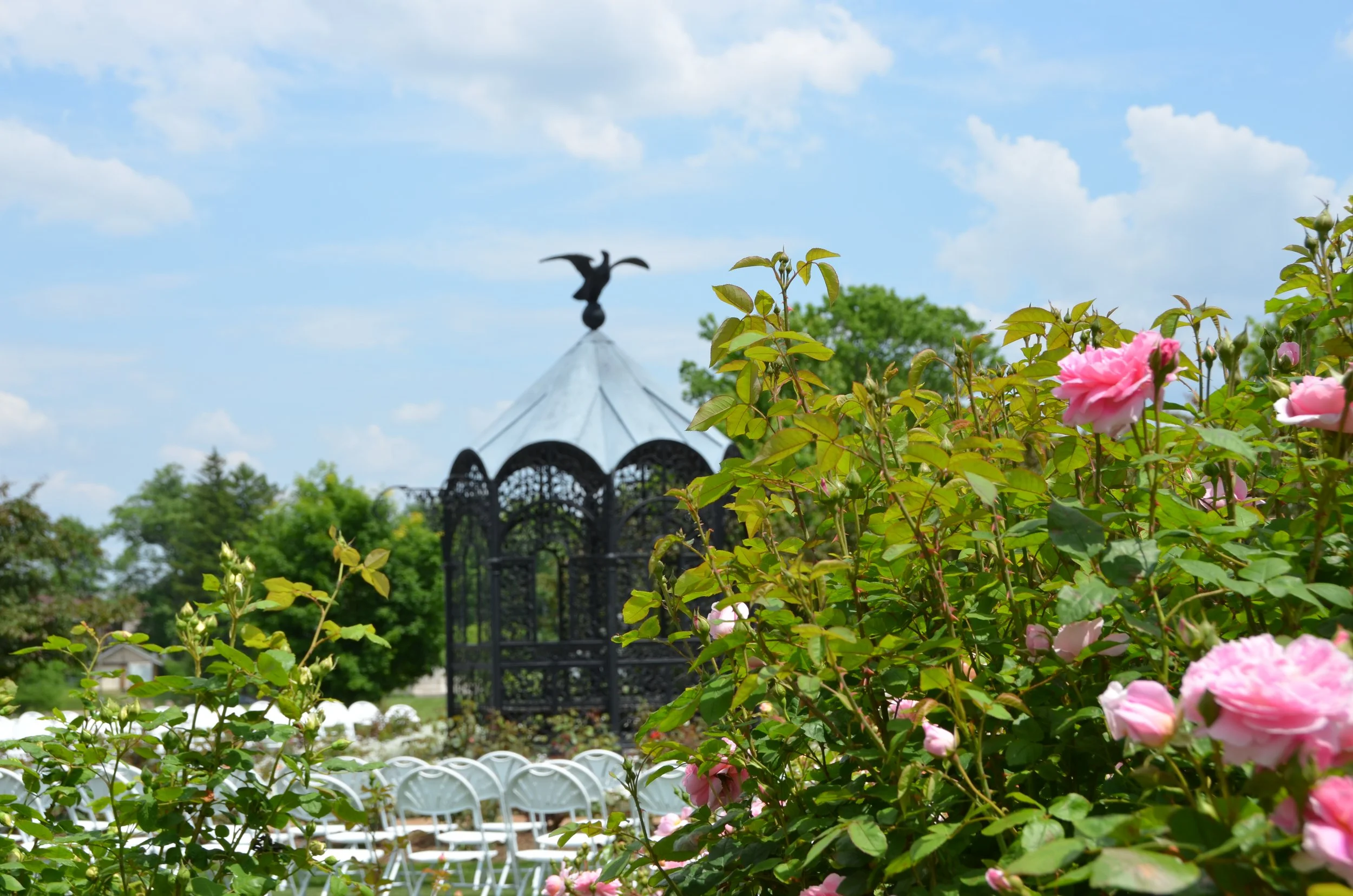 Ask an Expert: Rose Garden Session