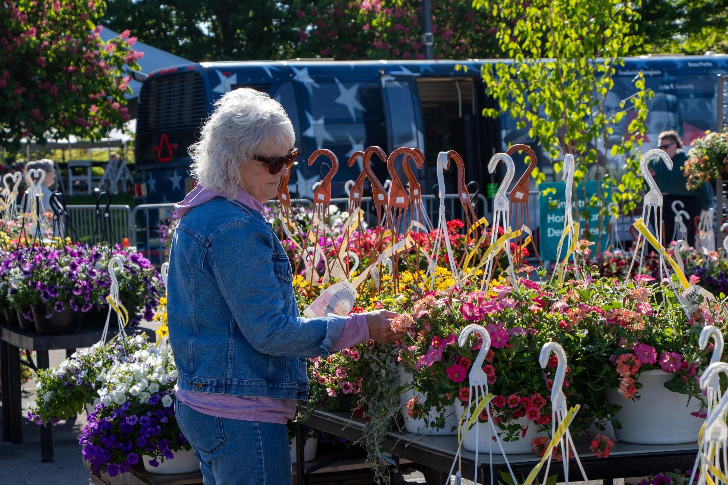 Garden Fair 2026 Blooms at Minnetrista