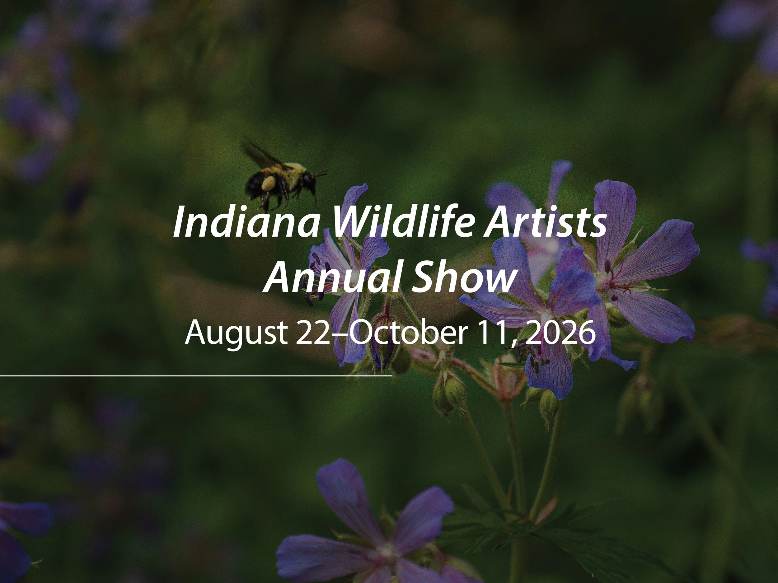 Indiana Wildlife Artists Annual Show