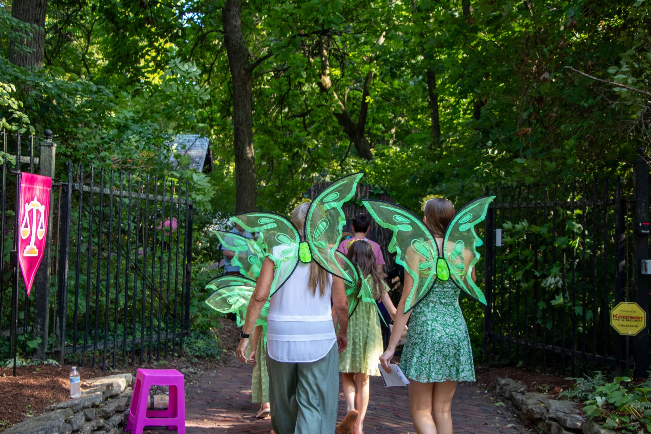 20260730-faerie-sprites-lights-202480.jpg