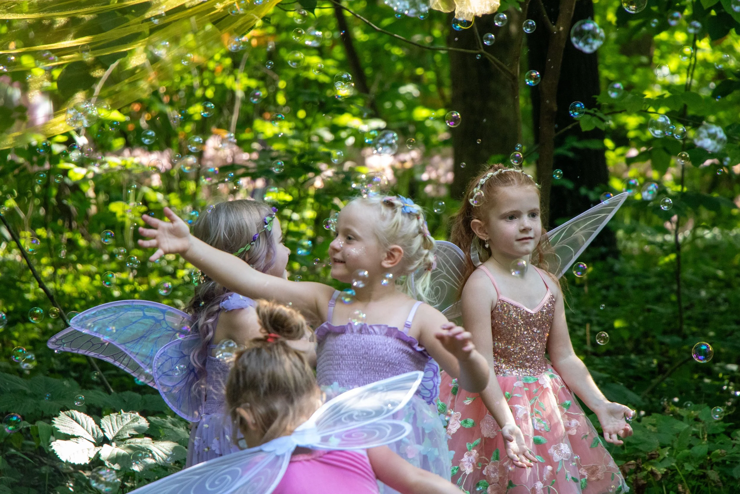 20260730-faerie-sprites-lights-202441.jpg