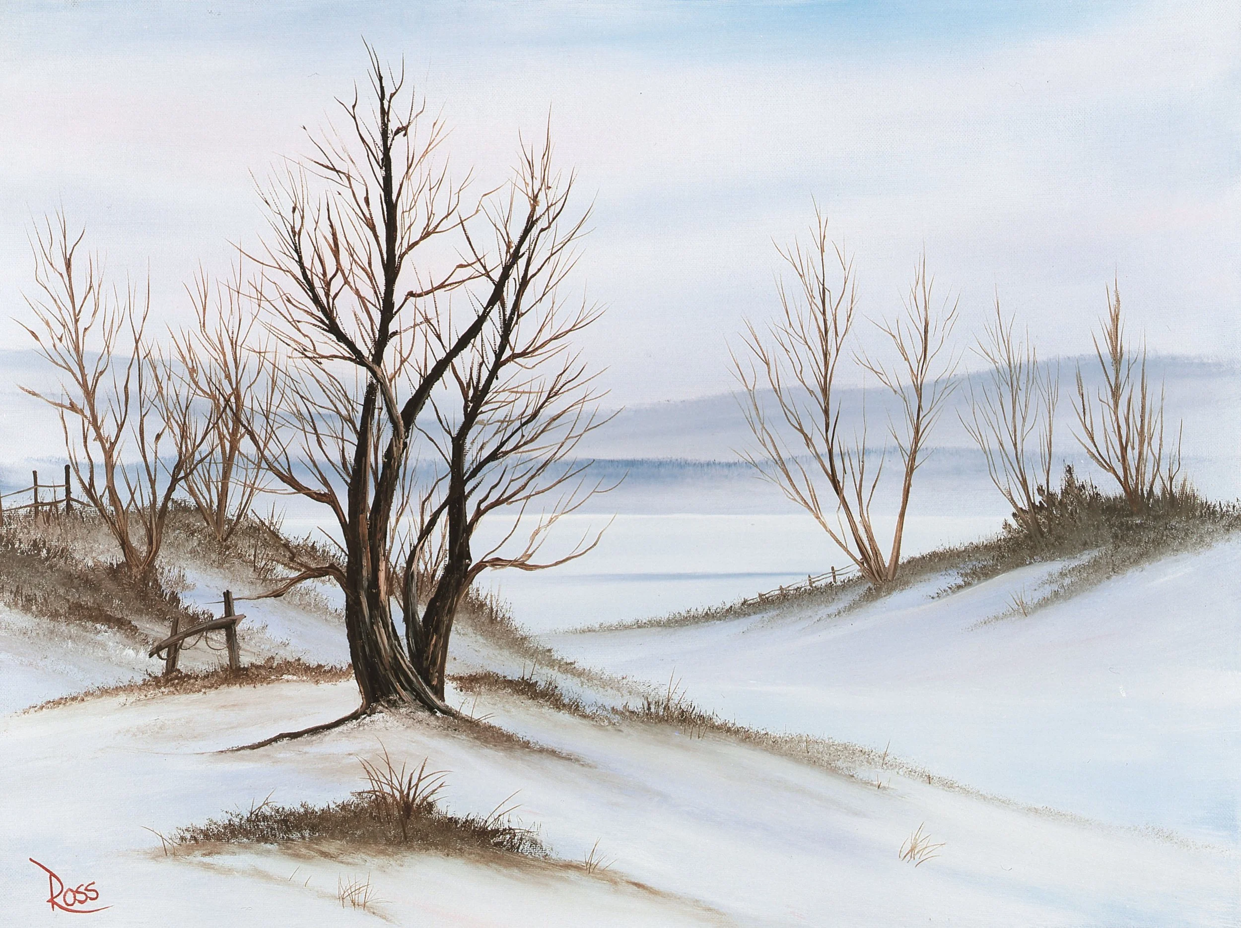 Bob Ross Painting Workshop: S10 E07—Winter Solitude