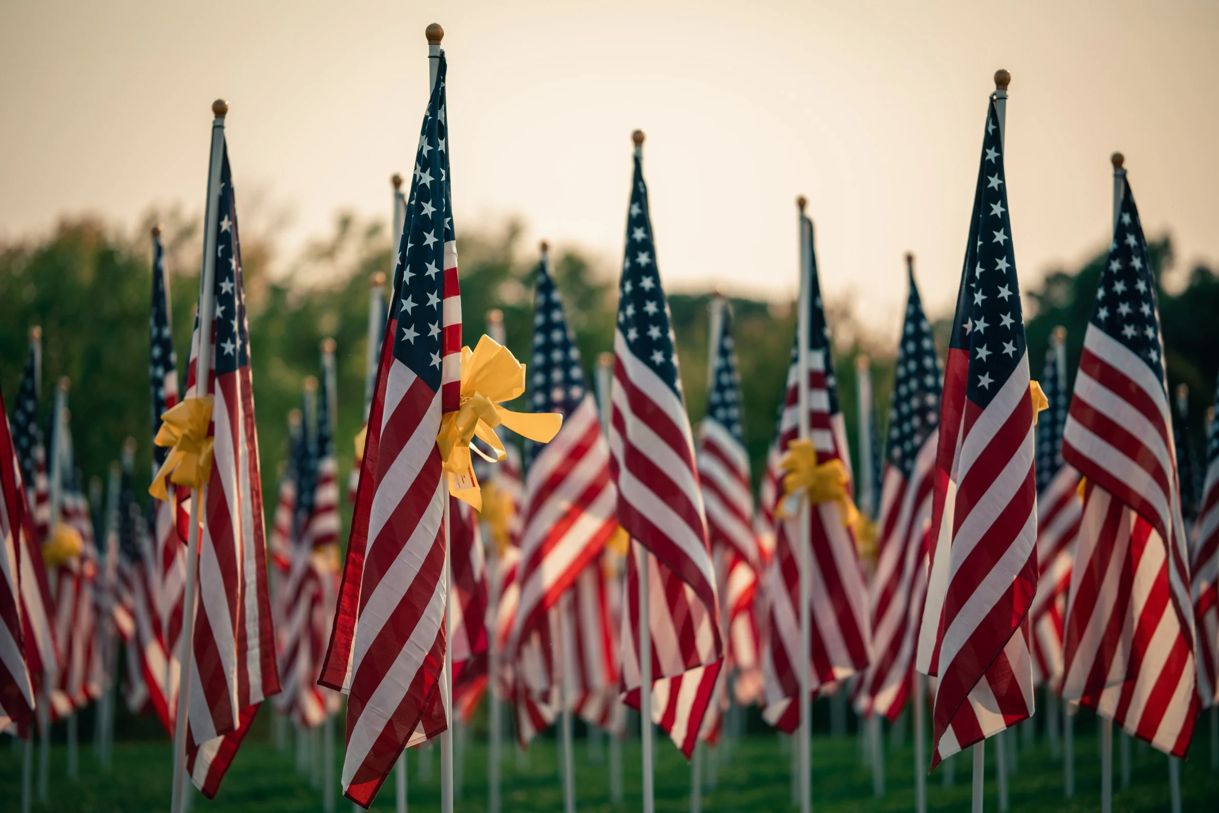 Flags of Honor: A Week of Remembrance, Service and Patriotism at Minnetrista