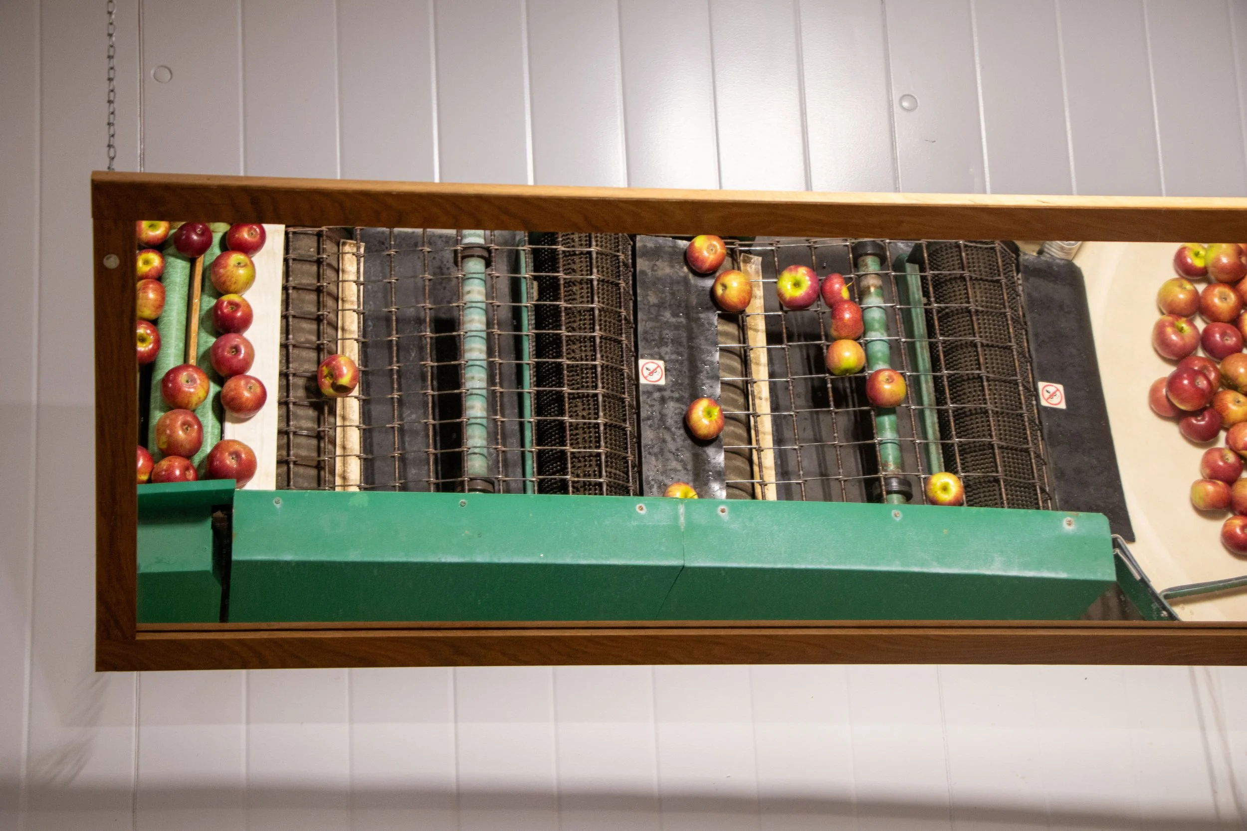 20260924-apple-cider-202923.jpg