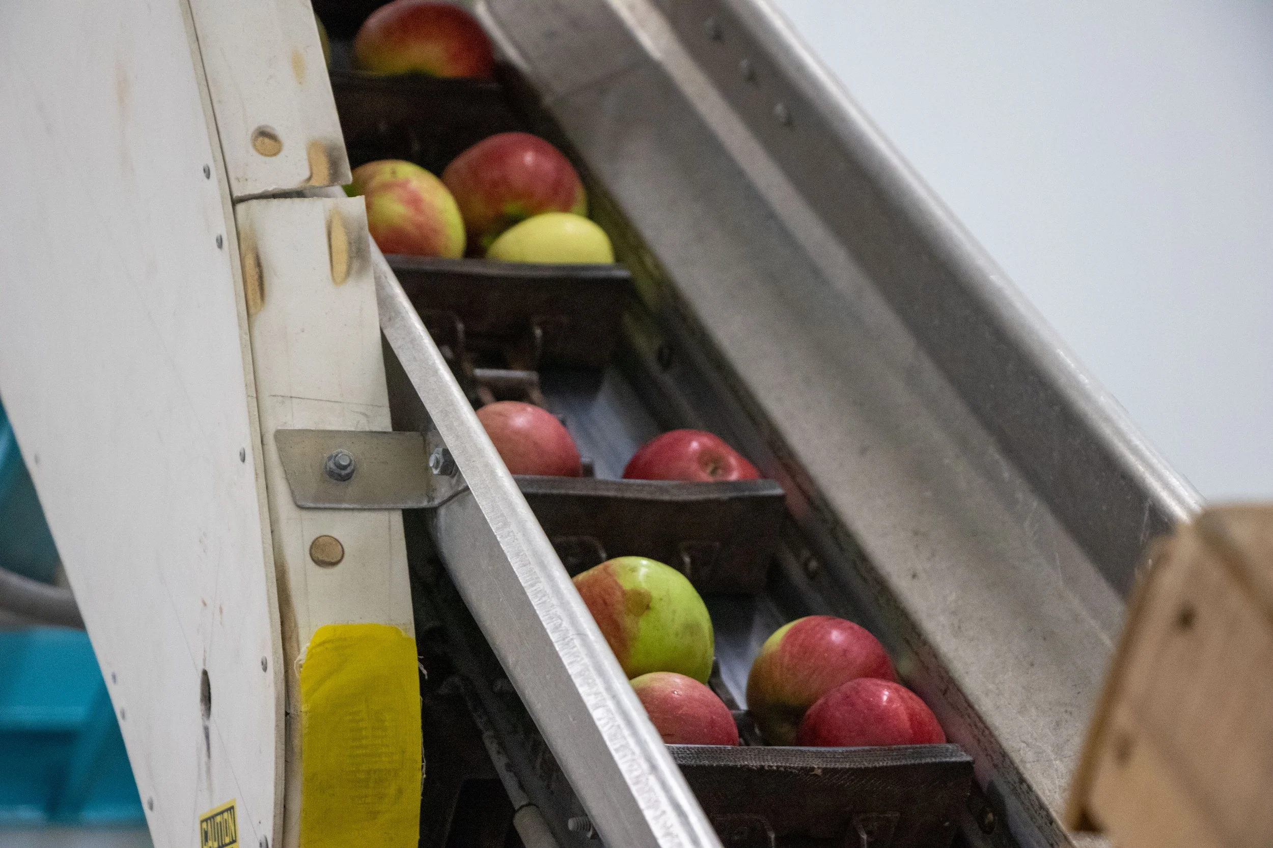 20260925-apple-cider-202939.jpg