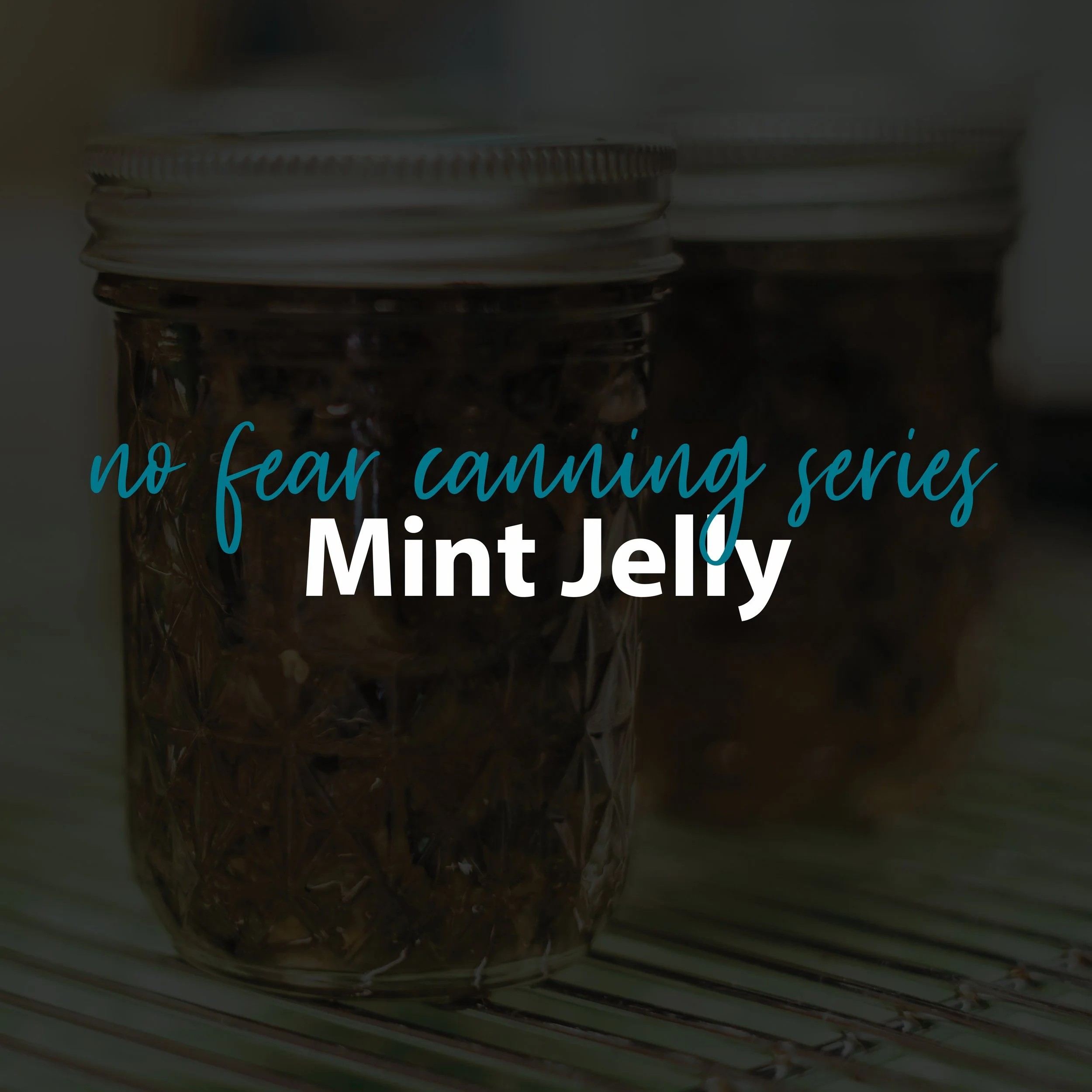 No Fear Canning Series: Mint Jelly&nbsp;