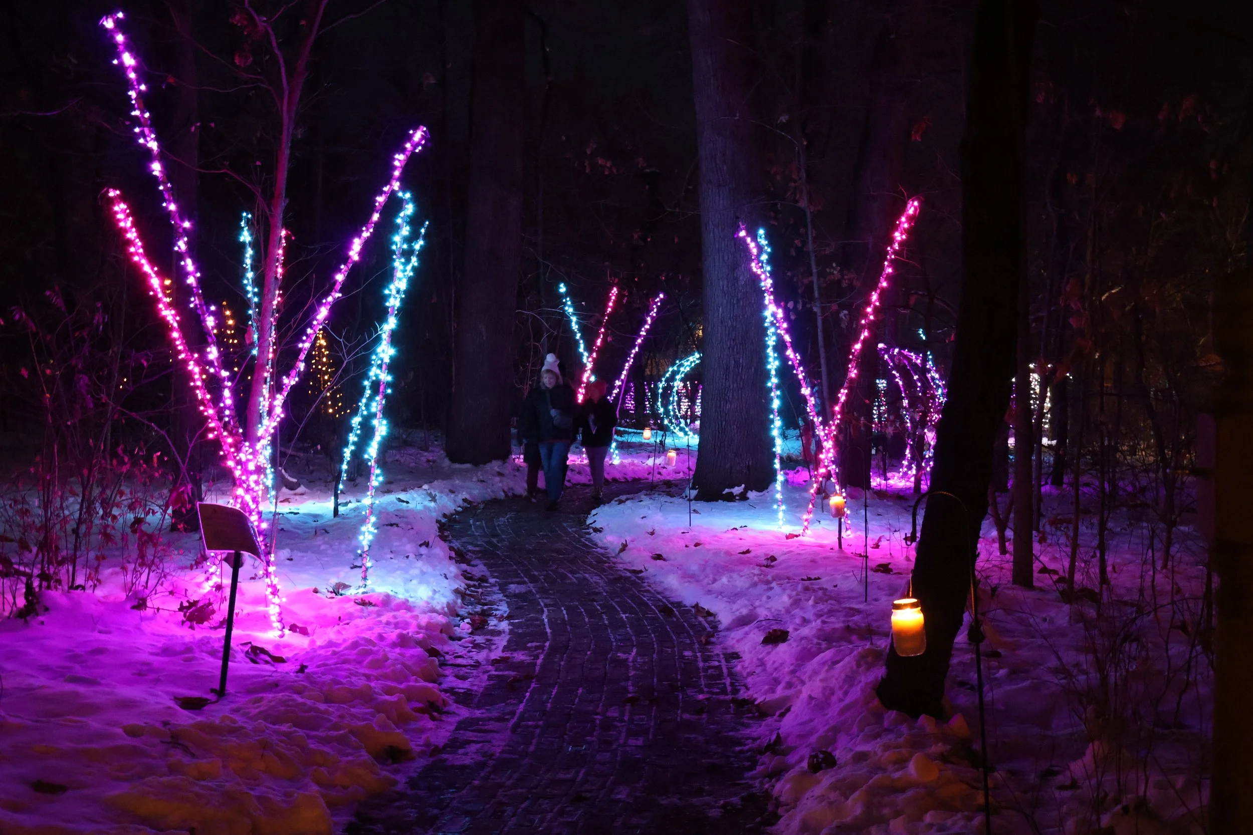 People walk along a snowy path surrounded my christmas lights.