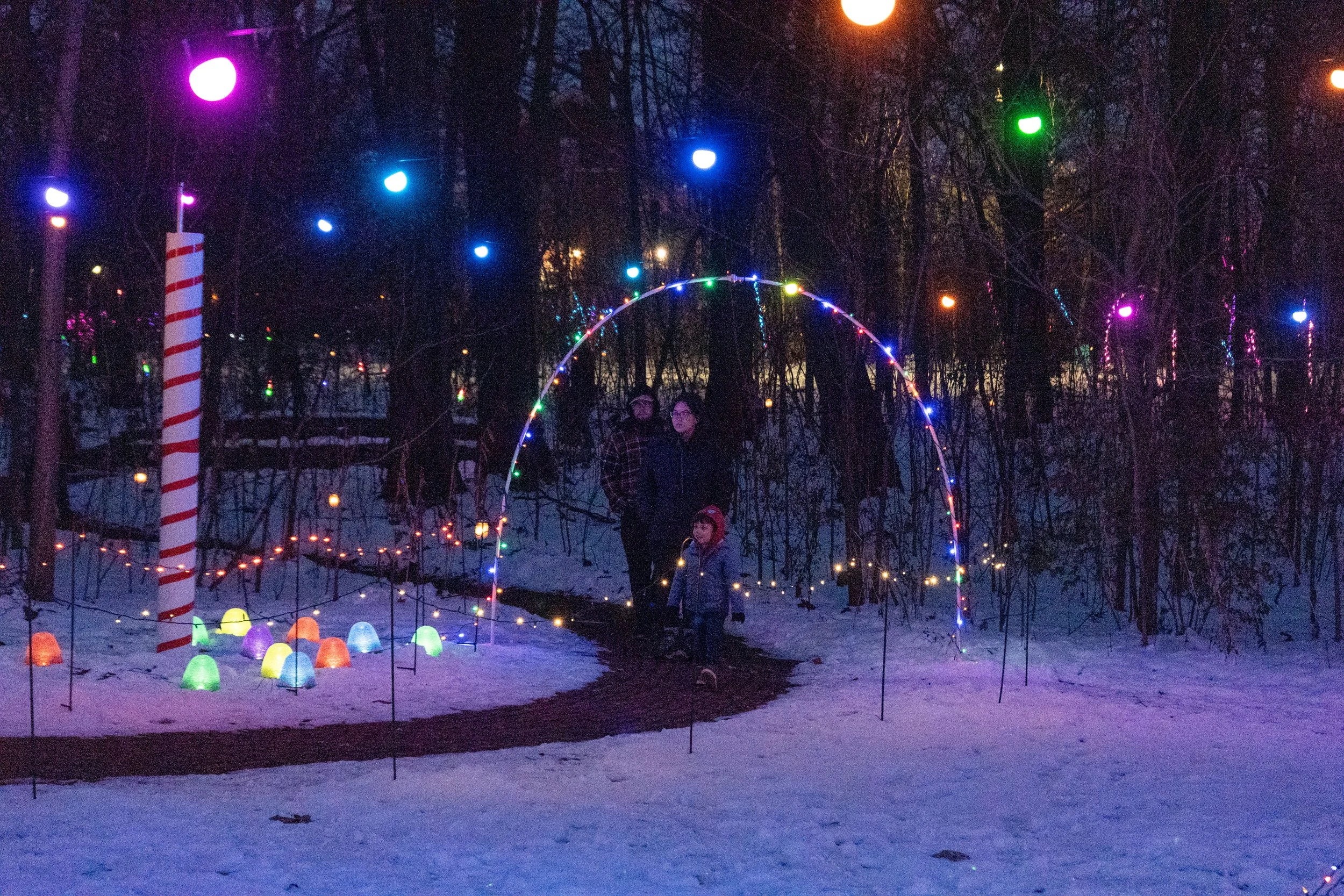 A family walks under christmas lights at night in the snow.