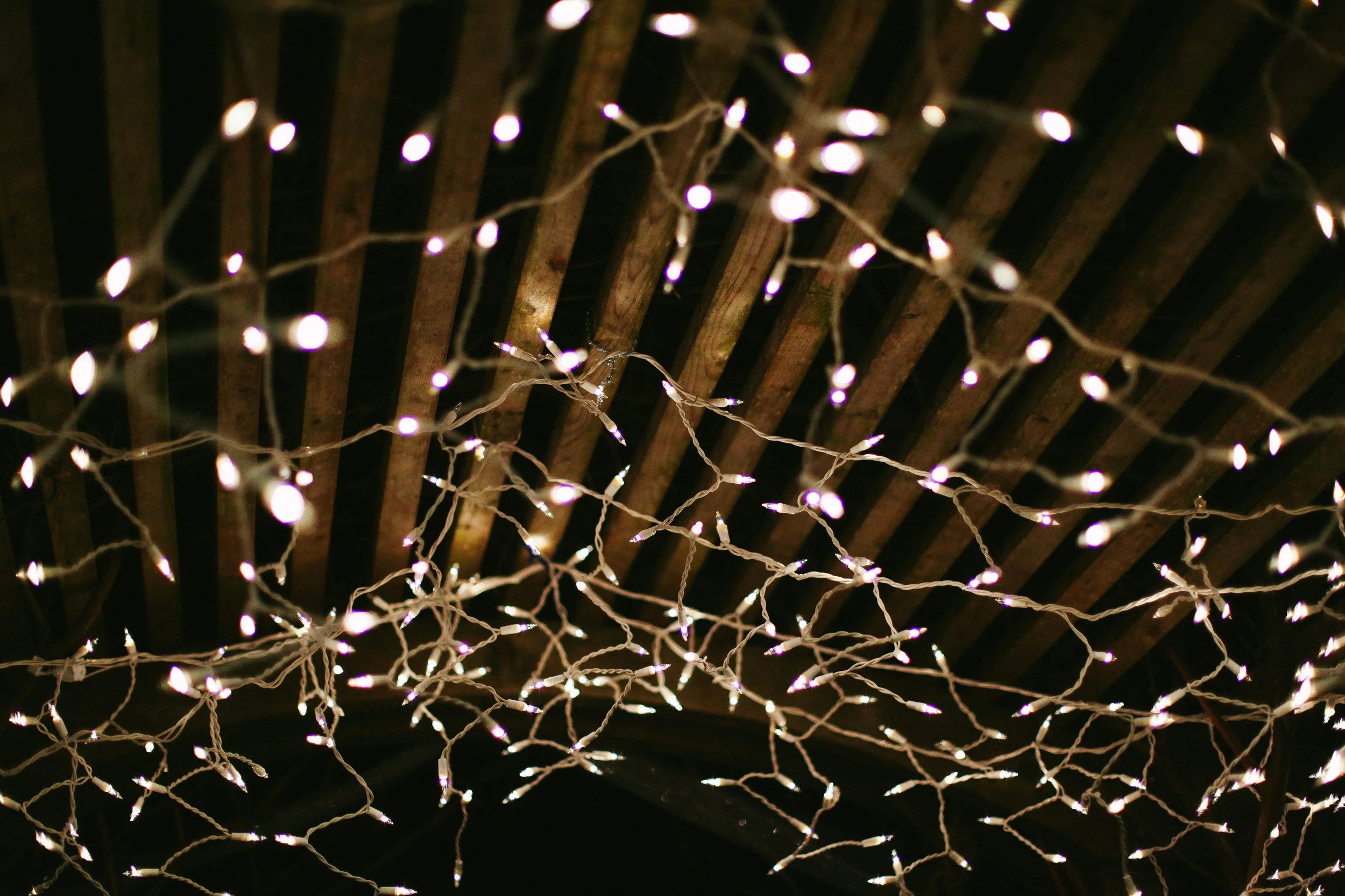 Enchanted Luminaria Walk —