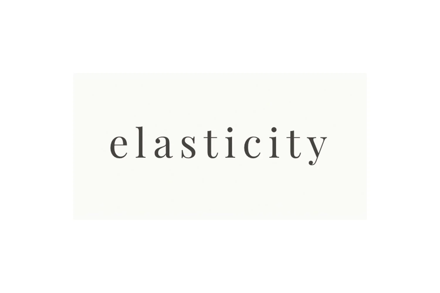 Corporate event photograph for AI safety company Elasticity Institute in San Francisco 