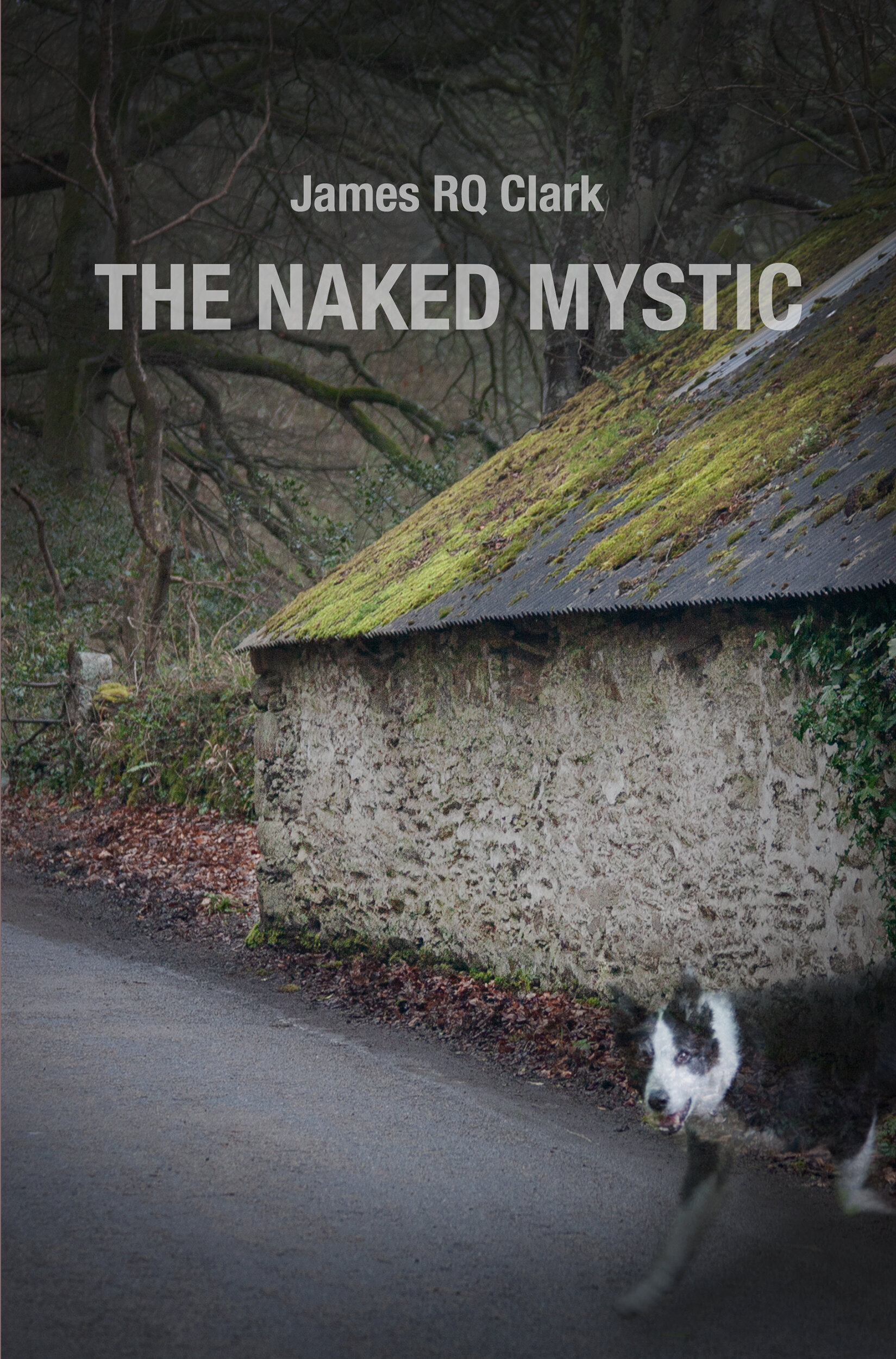 The Naked Mystic.jpg