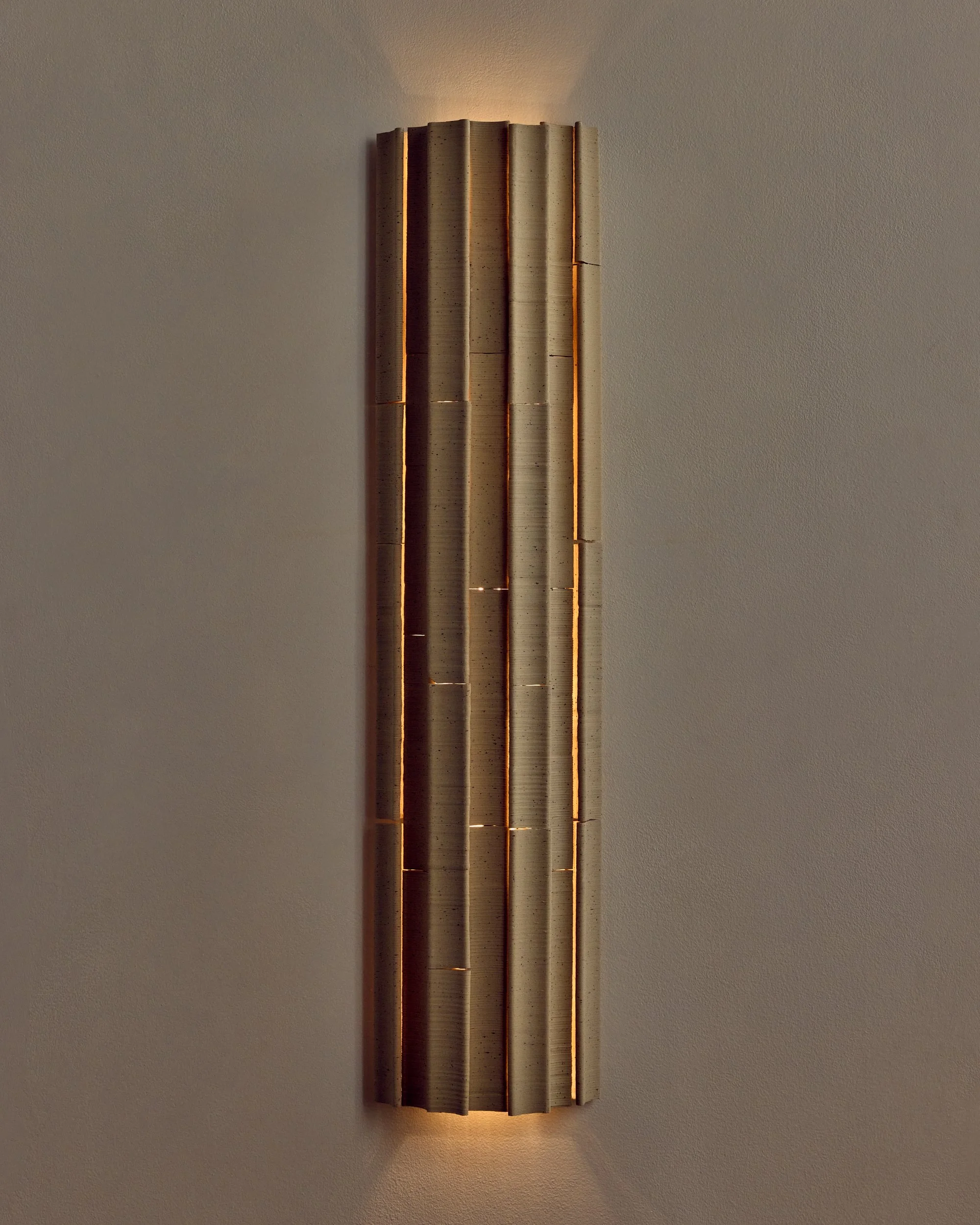 20240614_Populus0789 copy 2.jpg