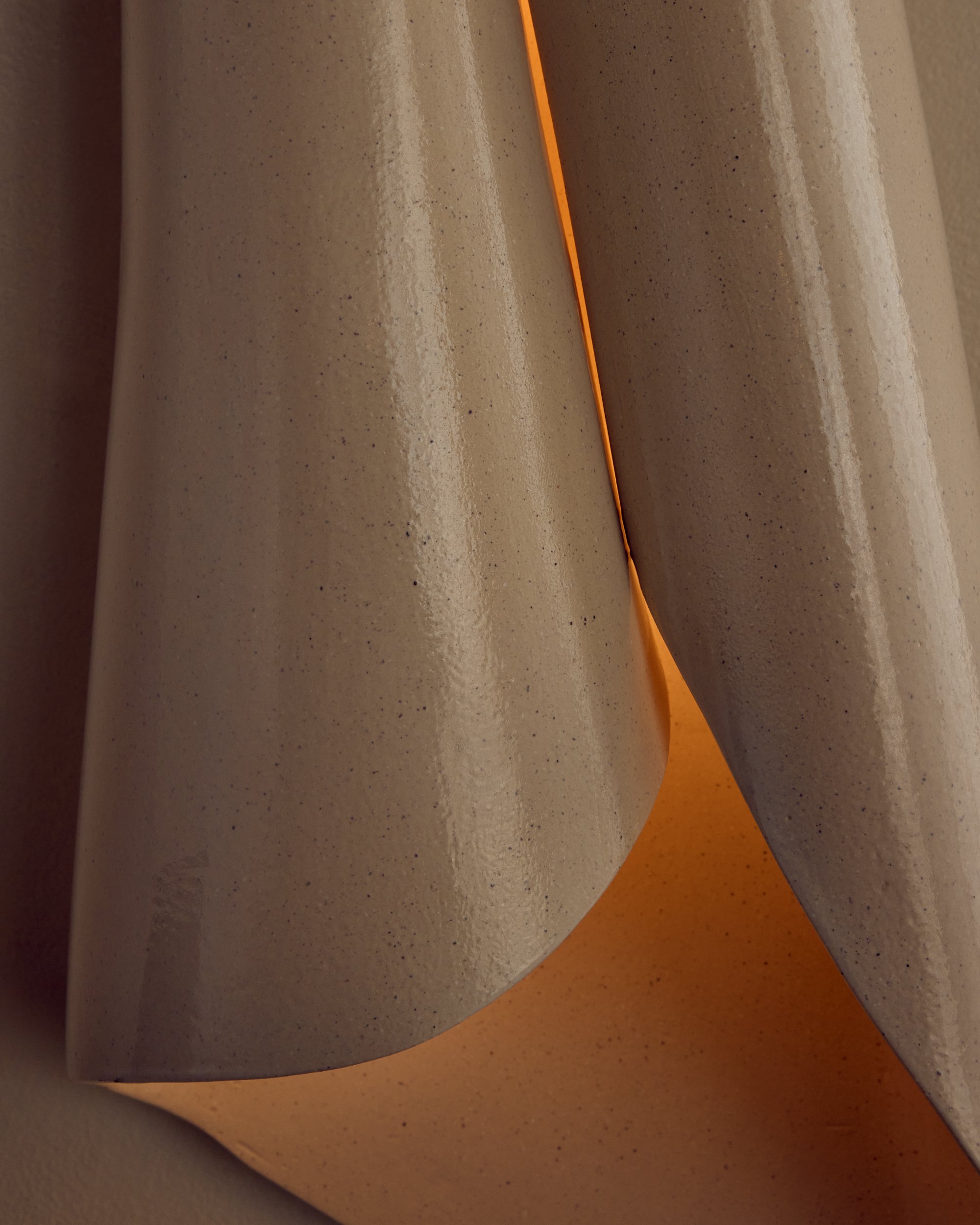 20240614_Populus0810 copy.jpg