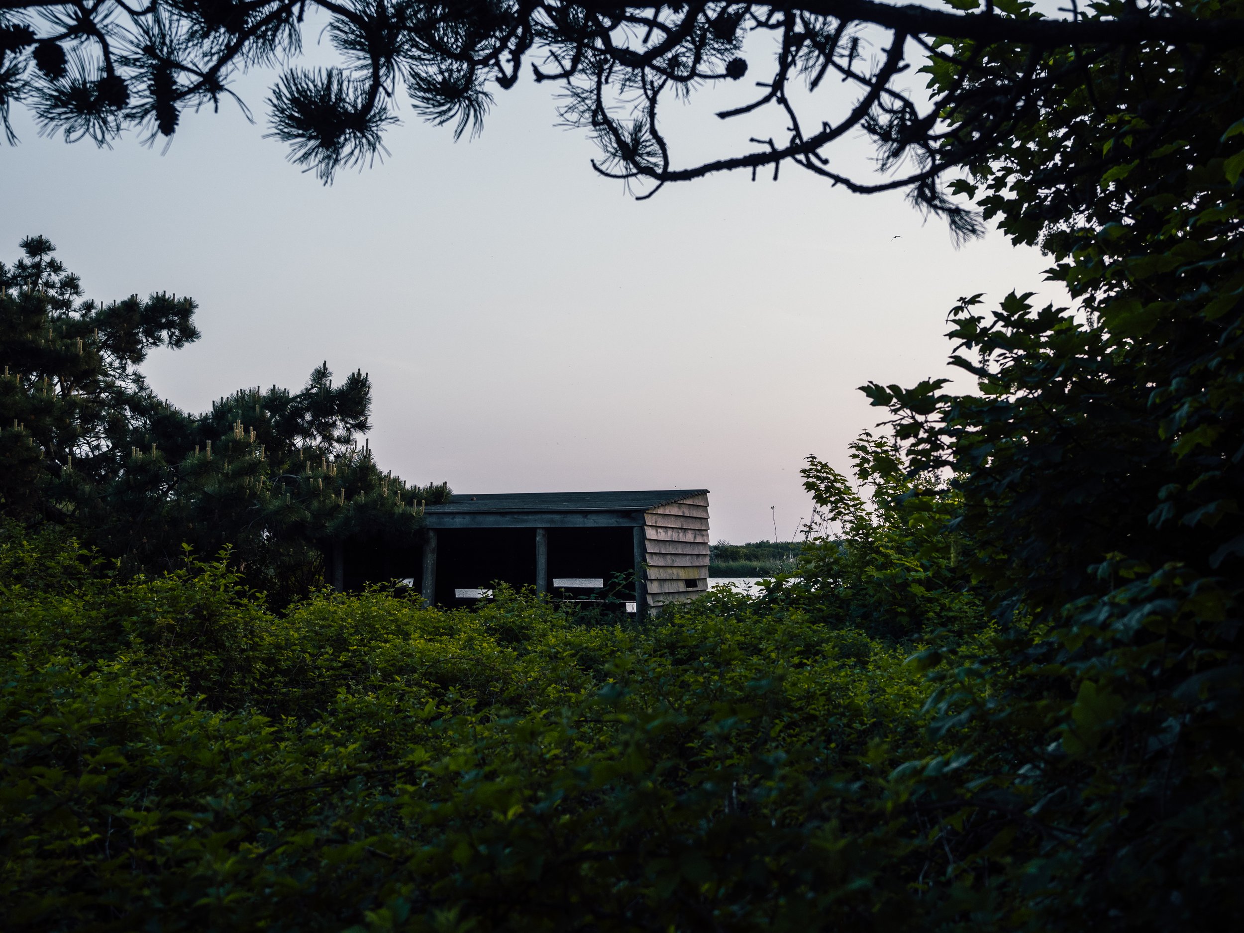 P6040147-2.jpg