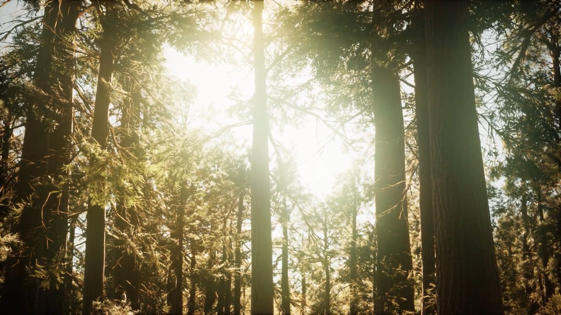 Screen Shot 2021-05-27 at 8.39.27 PM.jpg