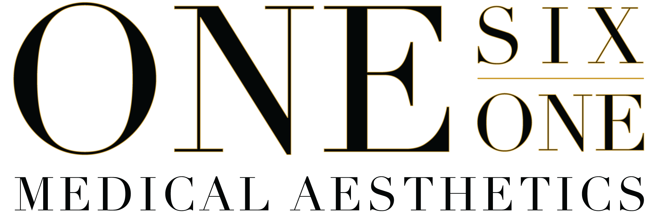 oneSIXONE Medical Aesthetics_Final Logo Set_Two-Toned Dark.png