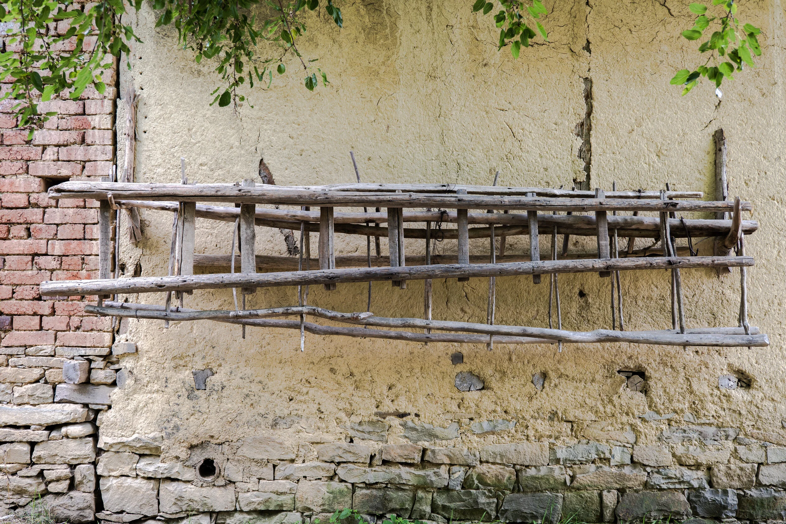 P1004445.jpg