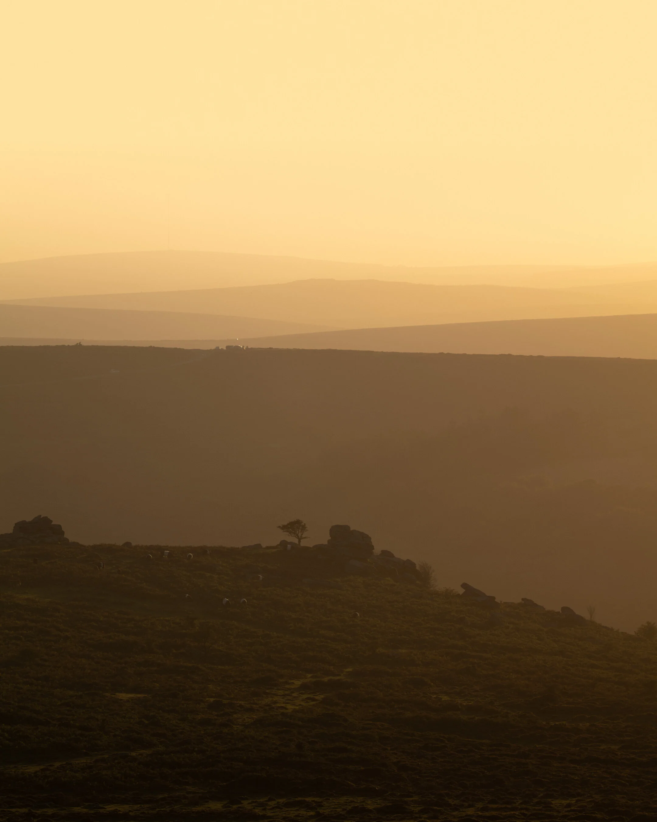 Devon_Seasons-23.jpg