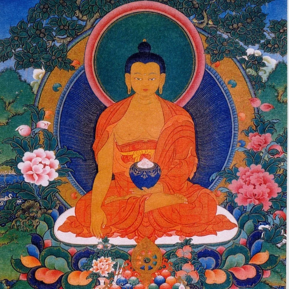 Foundation for the Preservation of the Mahayana Tradition (FPMT) - Study, Practice, Publications