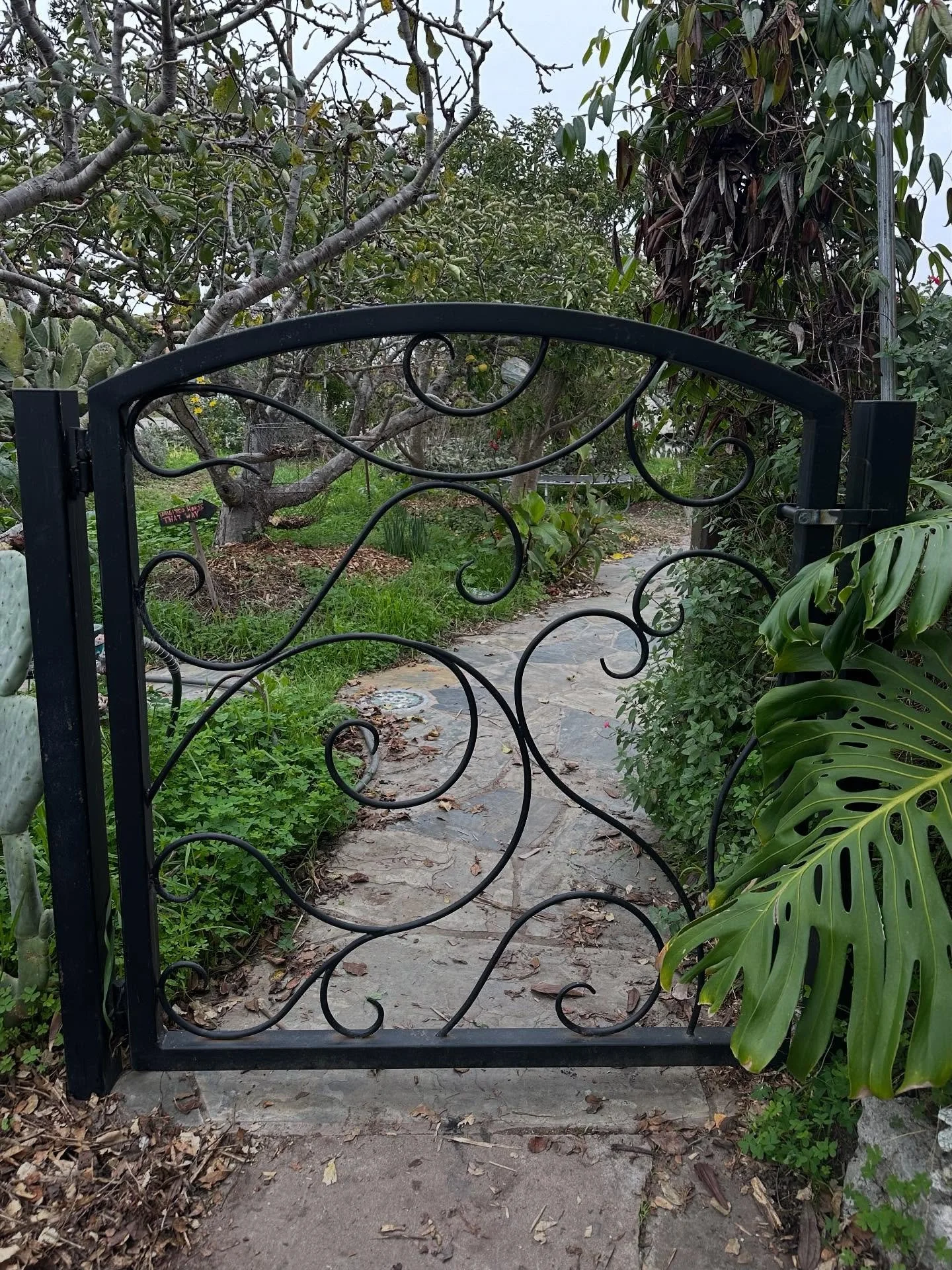 Garden Gates 
SANTA CRUZ, Ca. 
Hand forged scroll work