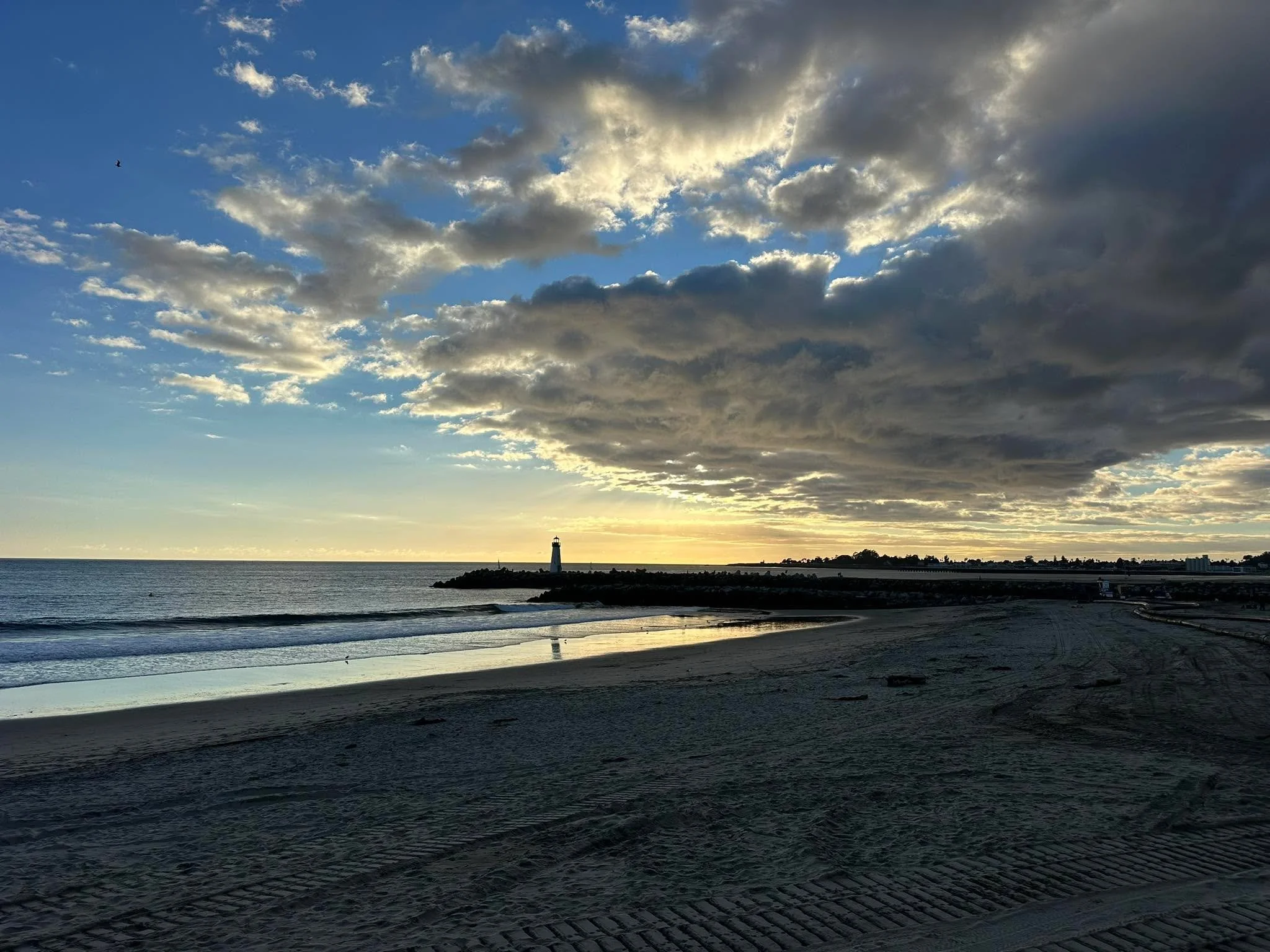 SC Harbor ⚓️🌤️