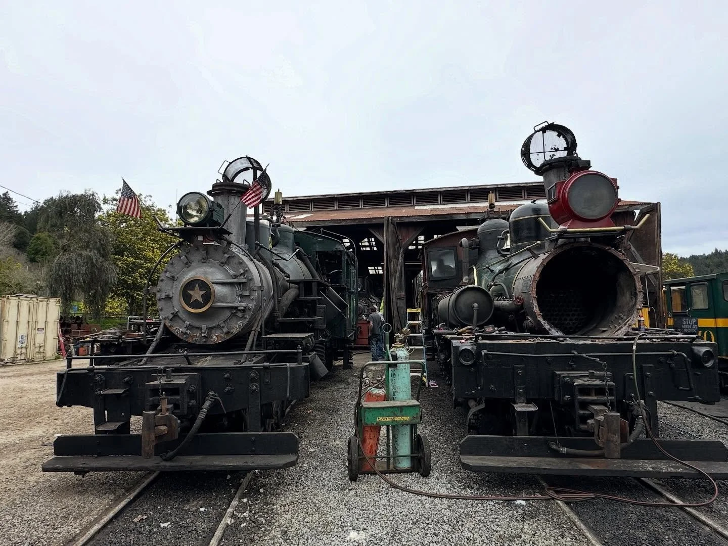 Potential New Project 
Roaring Camp Railroad 
Steam Locomotive
