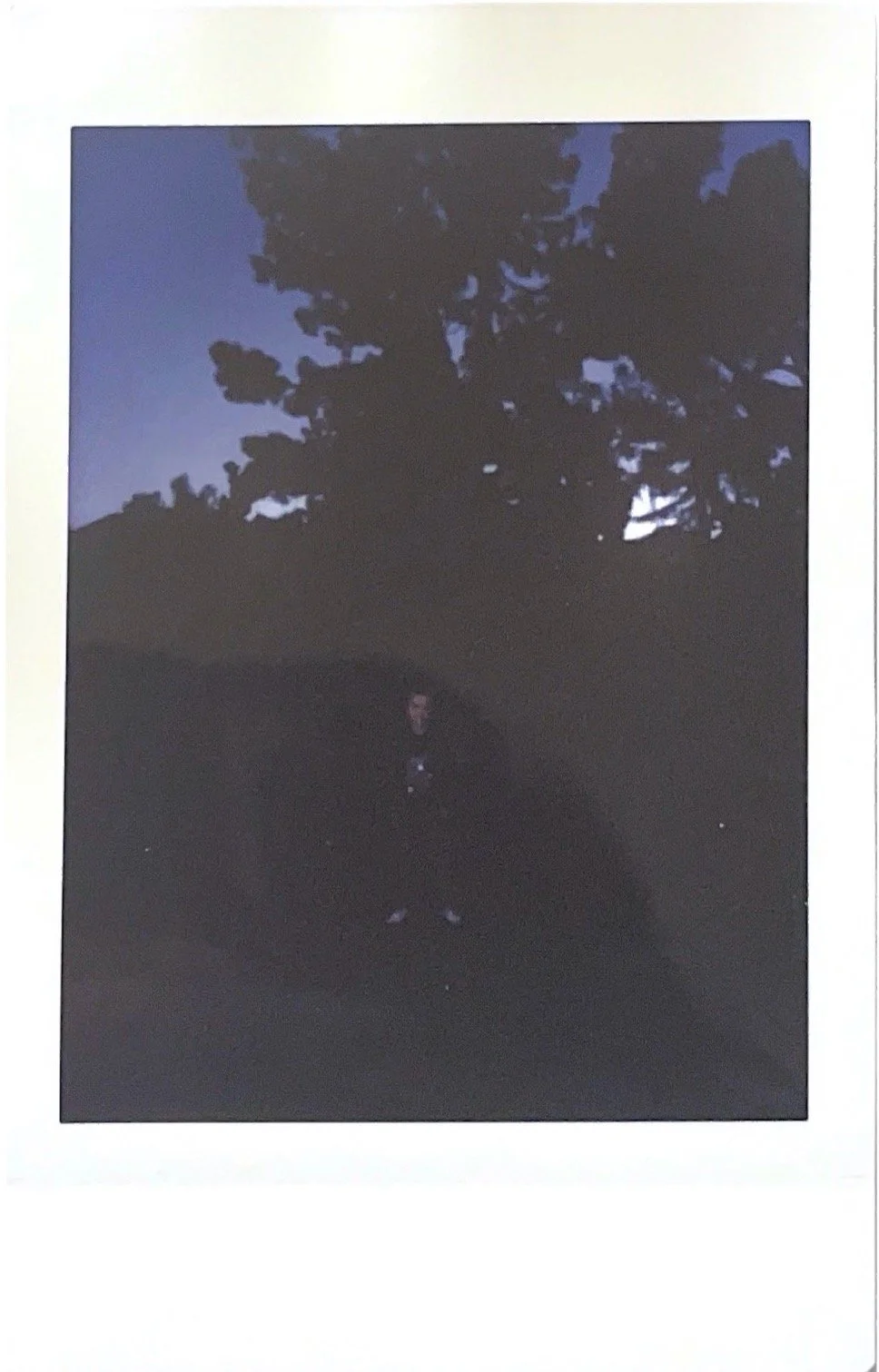 Scanned Documents3.jpeg