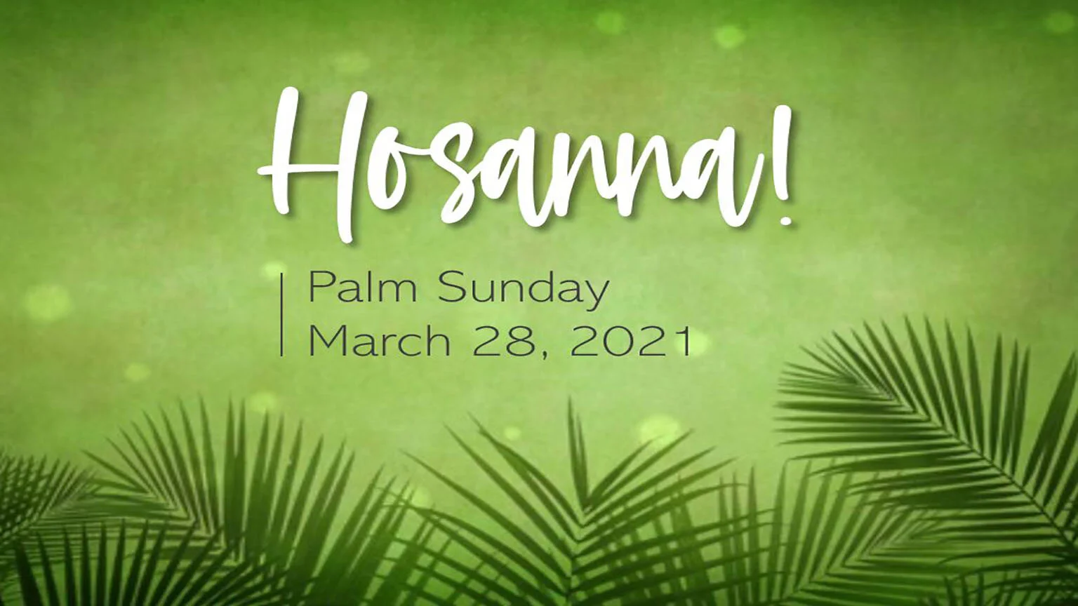Palm Sunday + Holy Week 2021