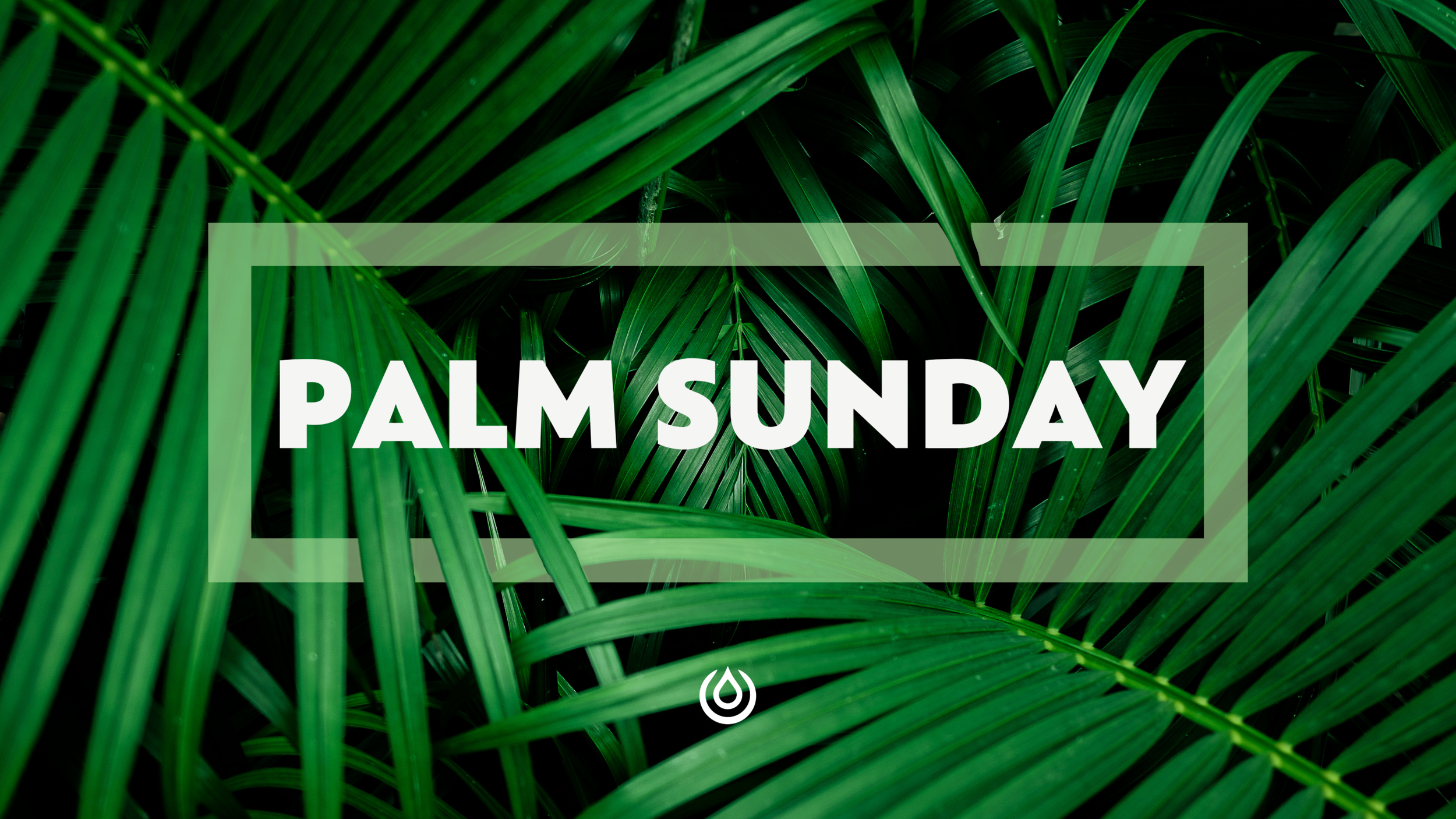 Palm Sunday + Holy Week 2022