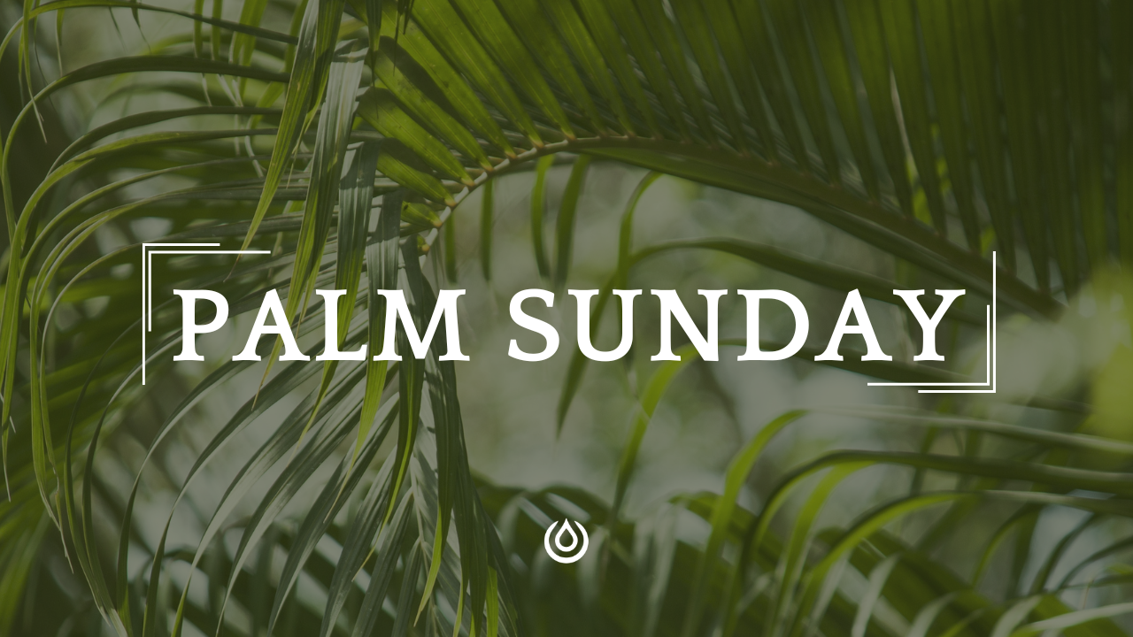Palm Sunday + Holy Week 2024 