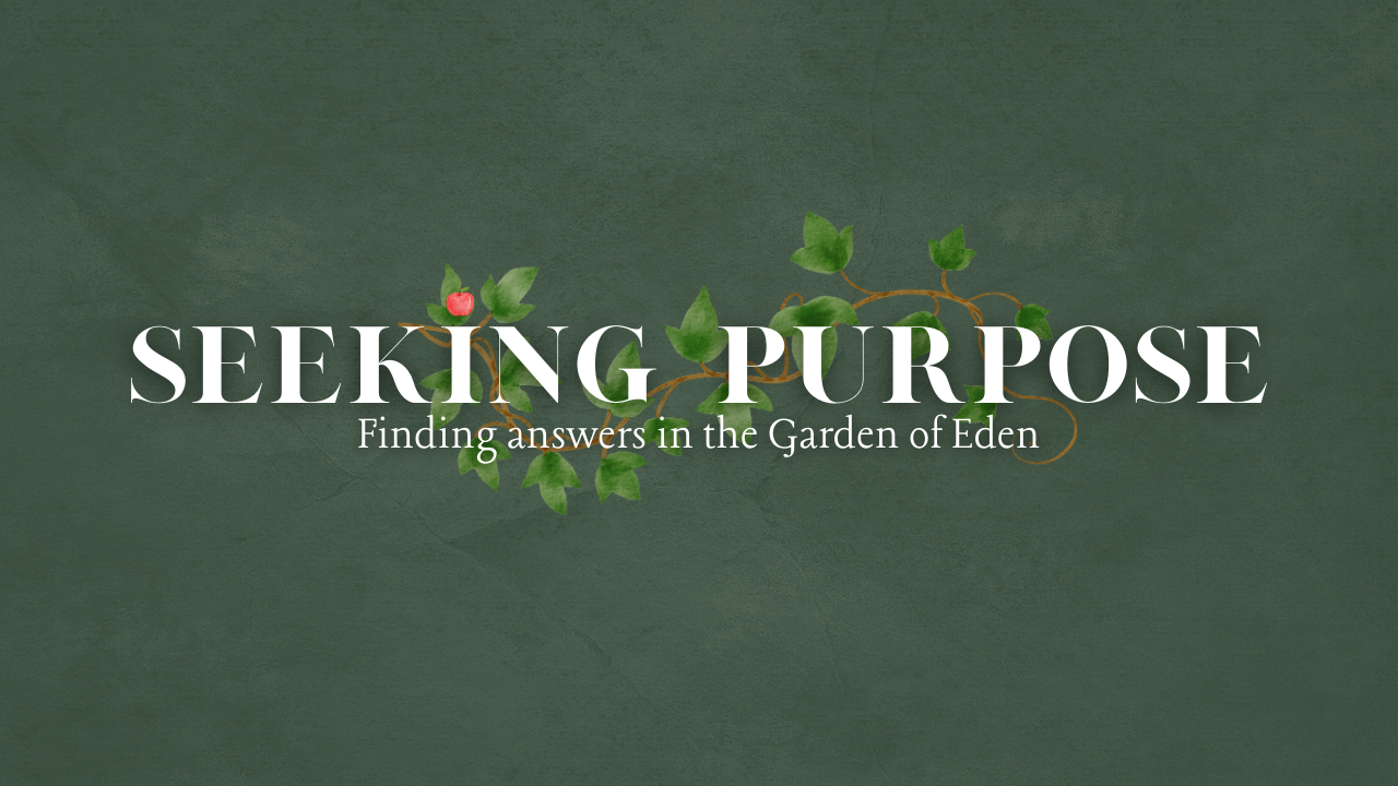Seeking Purpose