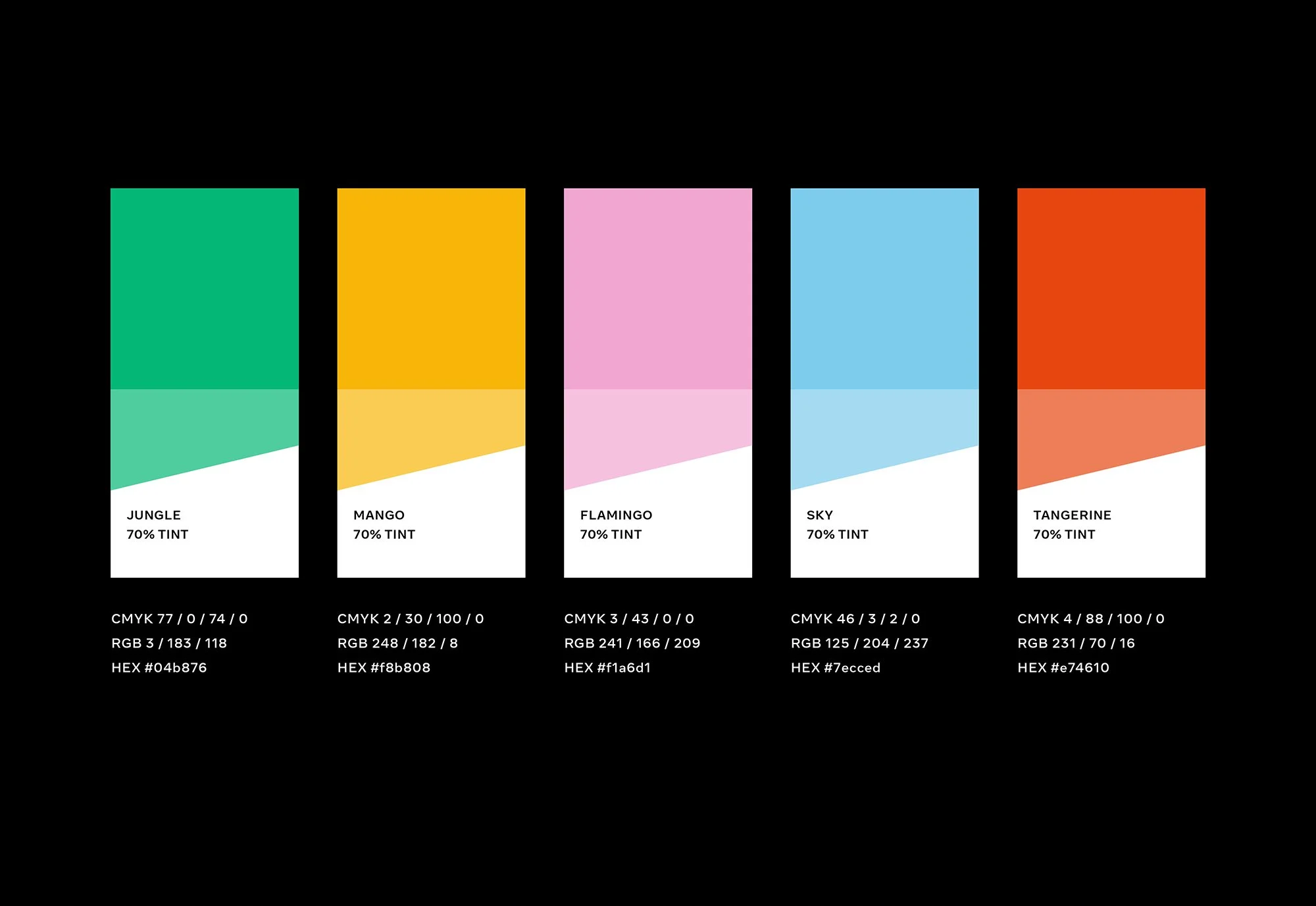 Brand Color Palette