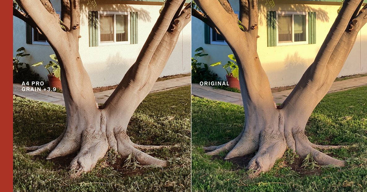 Comparison of photo quality between A4 PRO GRAIN +3.9 filter and original, showing a tree trunk with grass and a house in the background.
