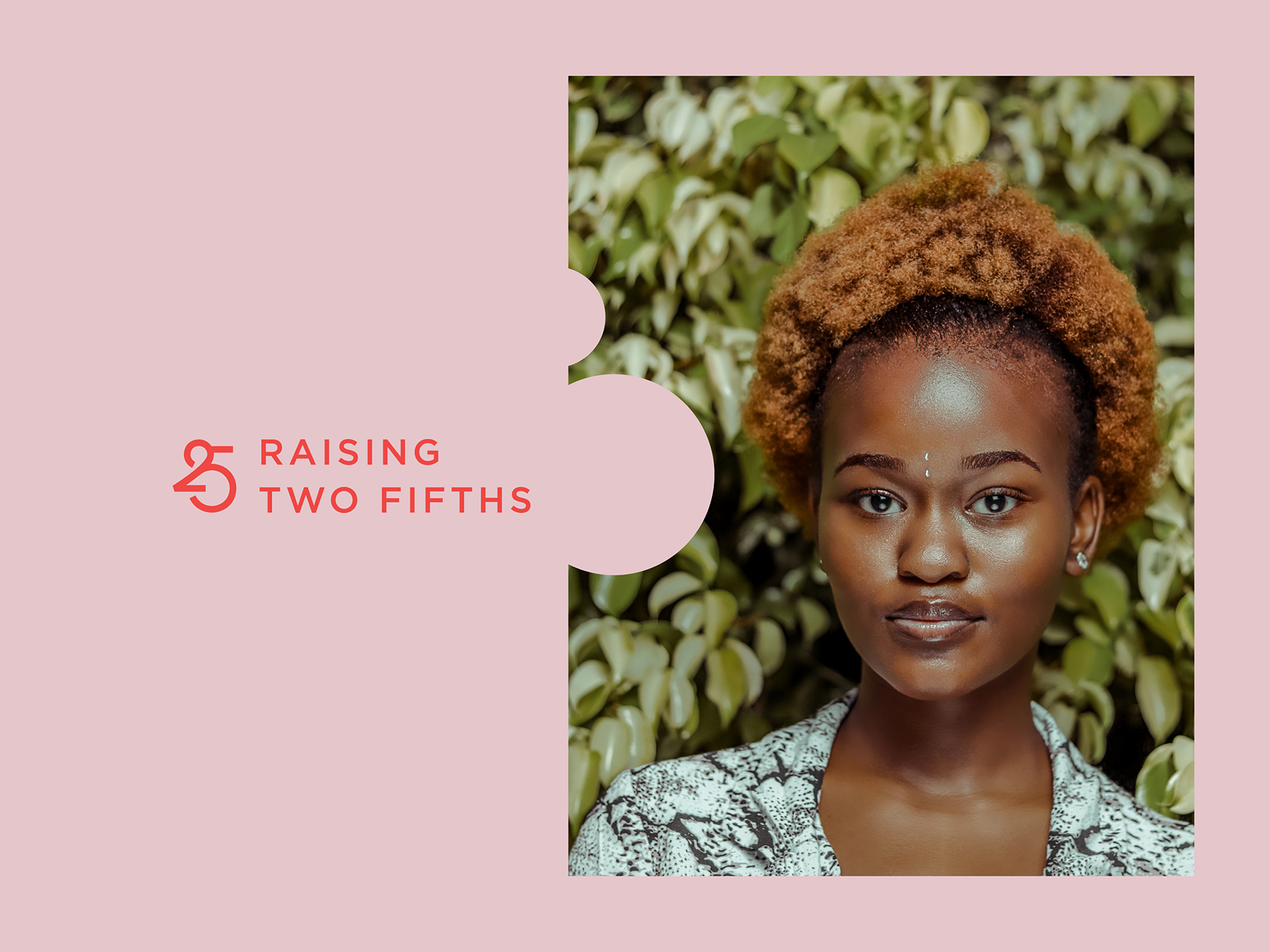 Raising Two Fifths Brand Identity