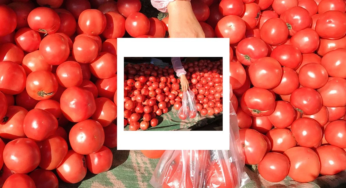 A person selling tomatoes at a market, with a large display of tomatoes in the background and a hand holding a small bag of tomatoes.